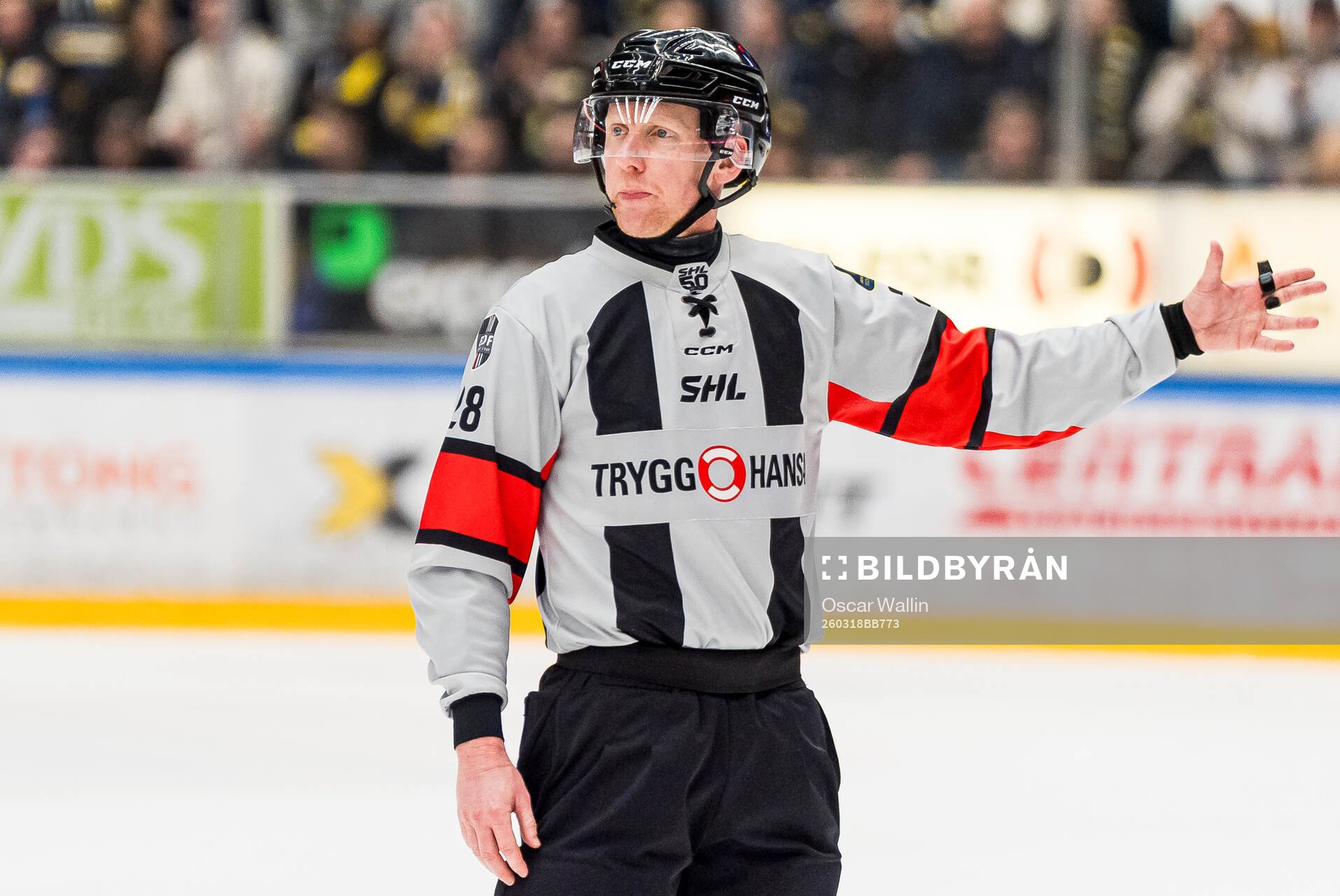 Domare Mikael Holm