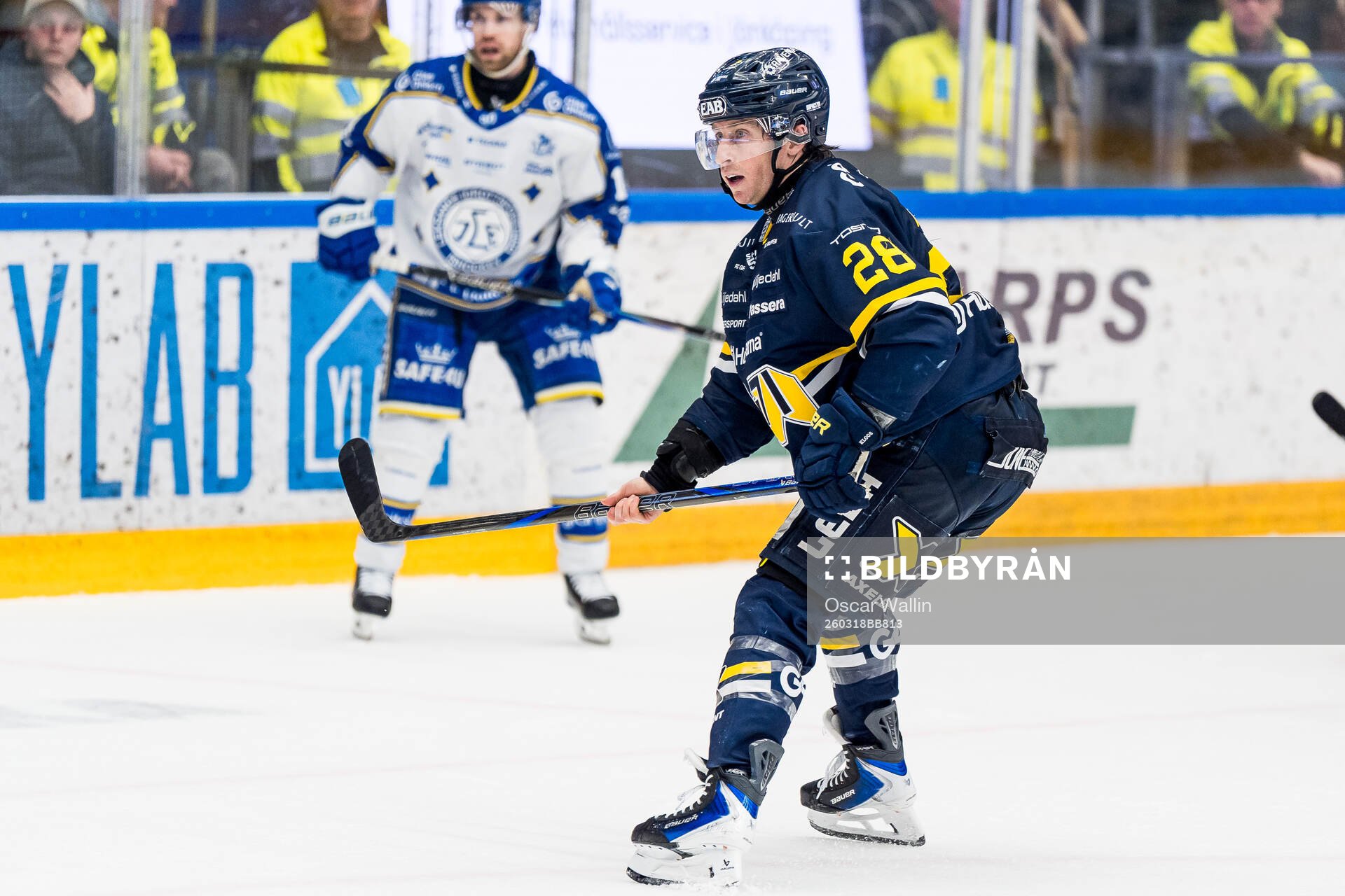 HV71s Justin Glenn Kloos