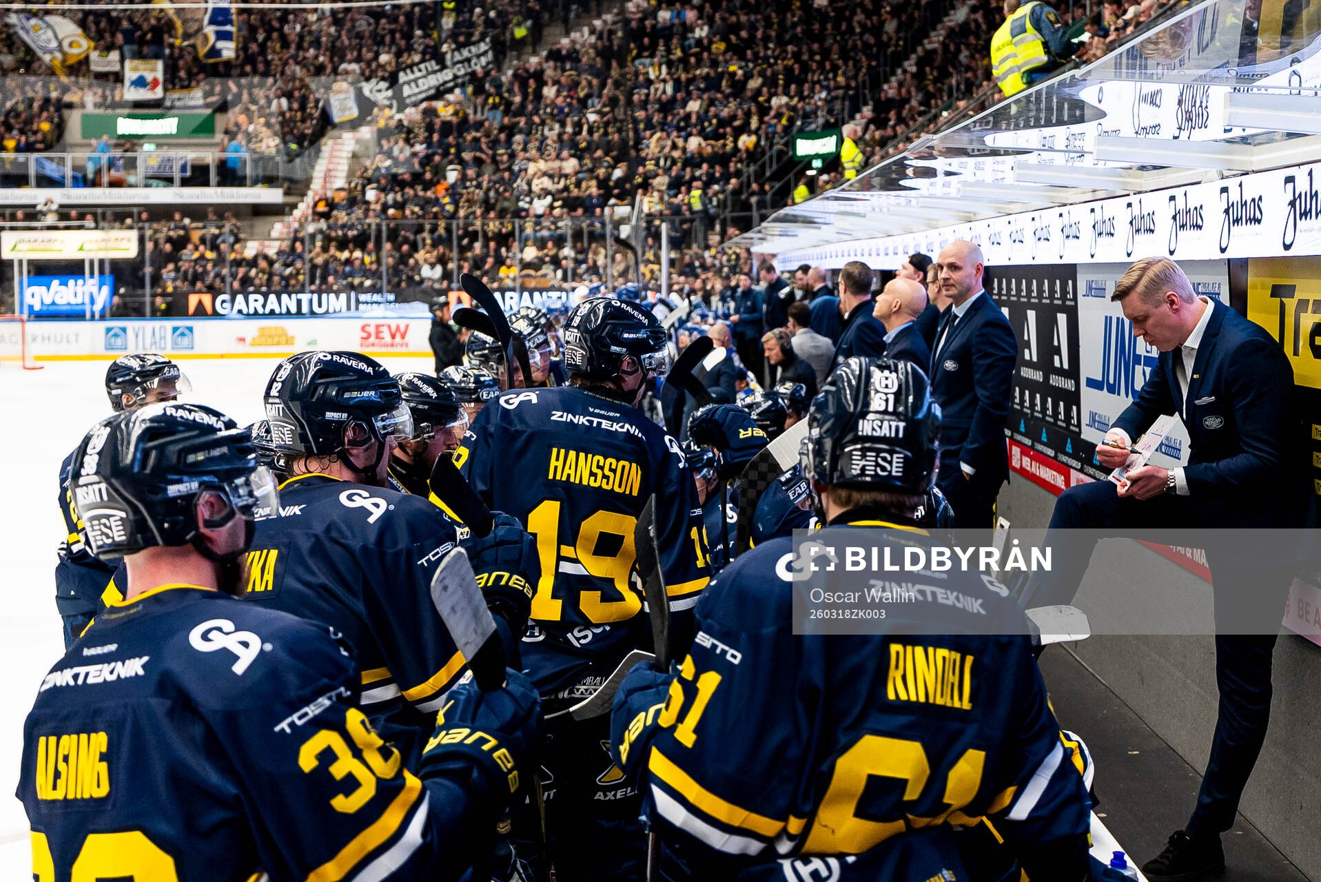 HV71s tränare Anton Blomqvist