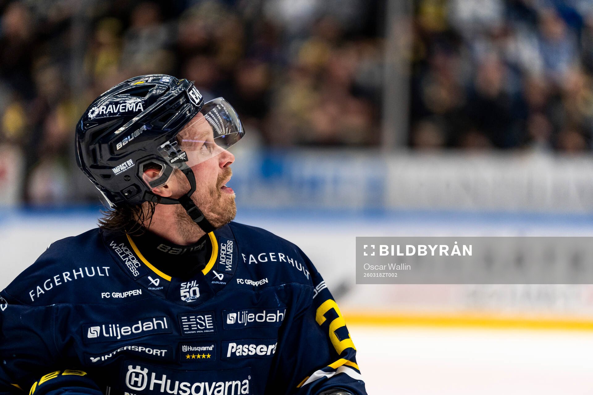 HV71s Mattias Tedenby