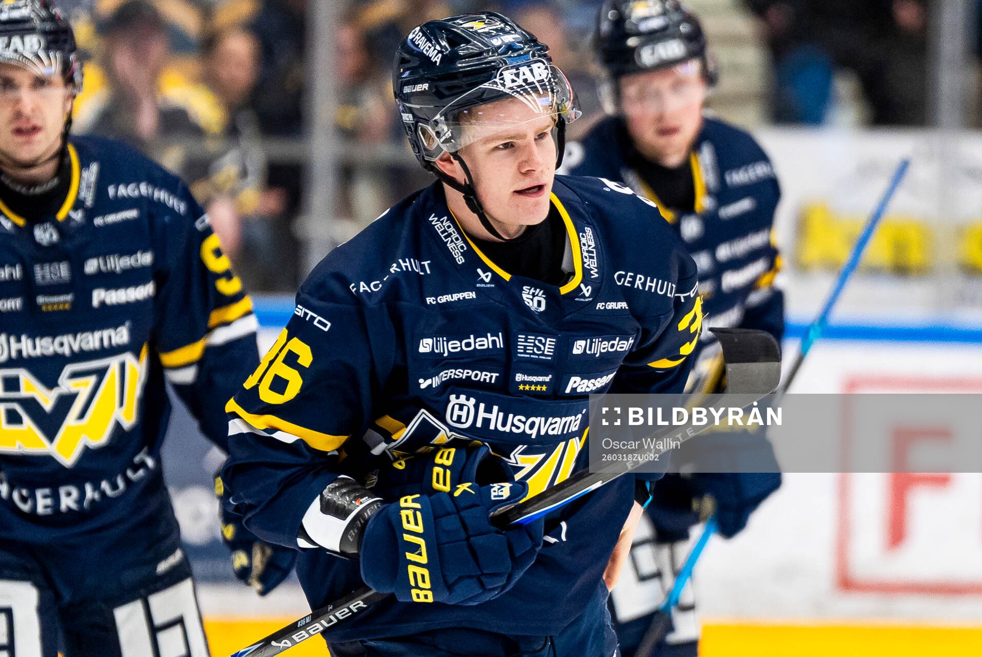 HV71s Martin Johnsen