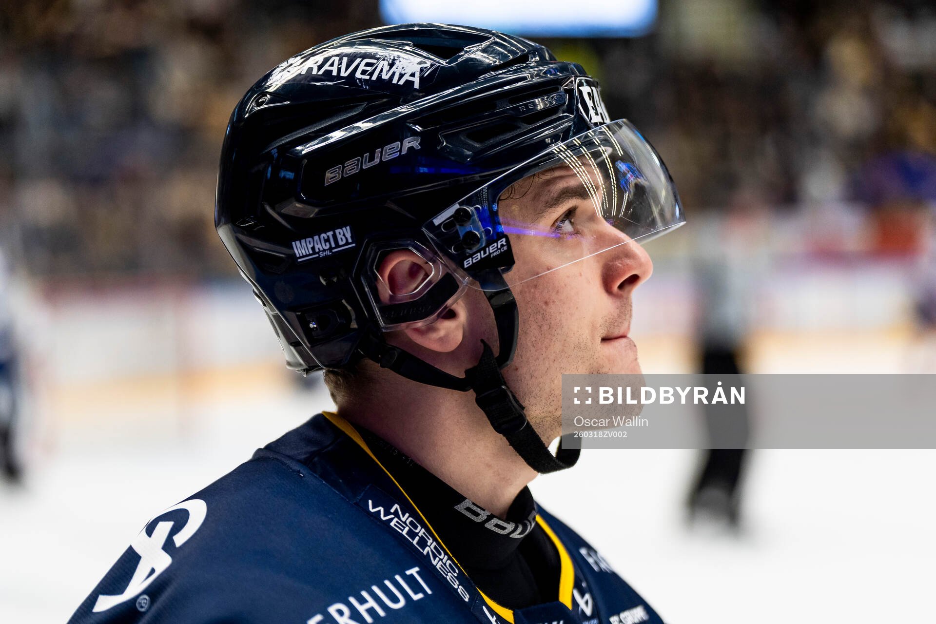 HV71s Nikola Pasic
