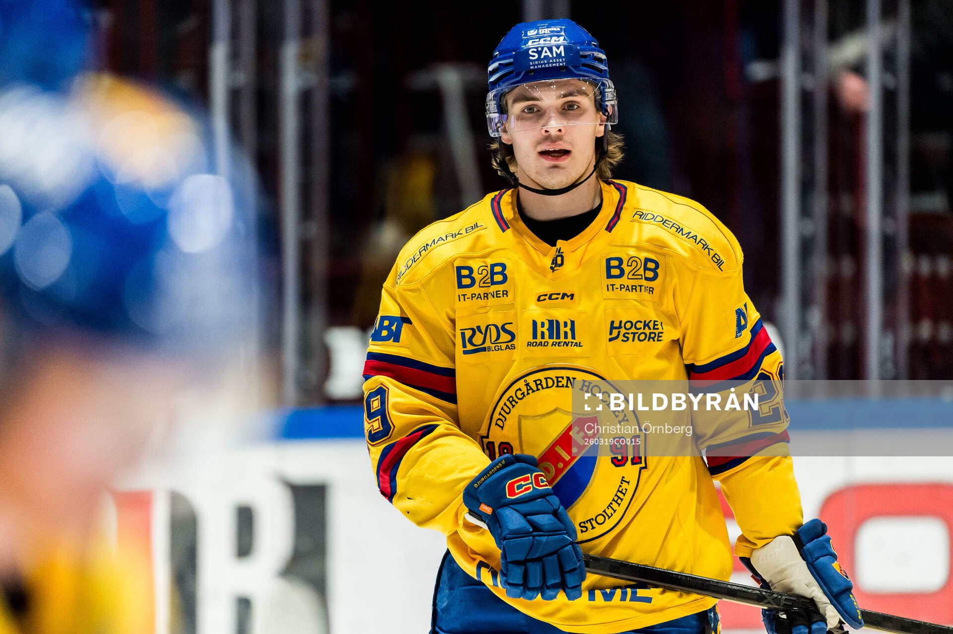 Djurgårdens Håvard Salsten