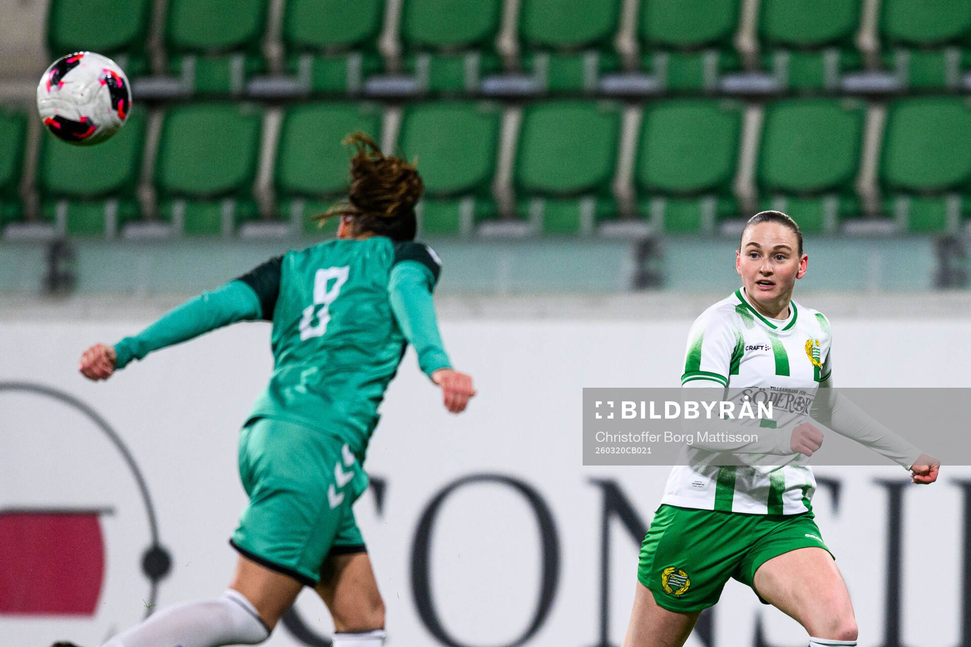 Hammarbys Vilde Hasund