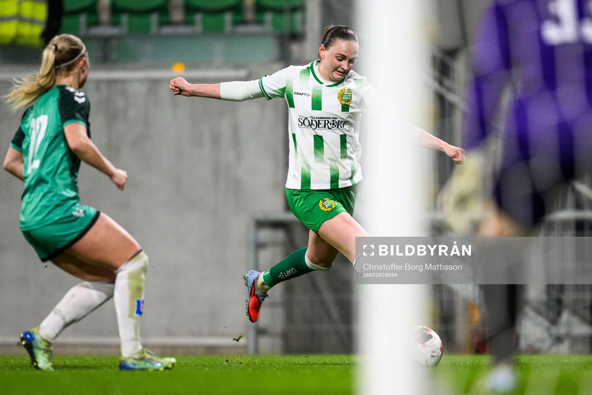 Hammarbys Vilde Hasund