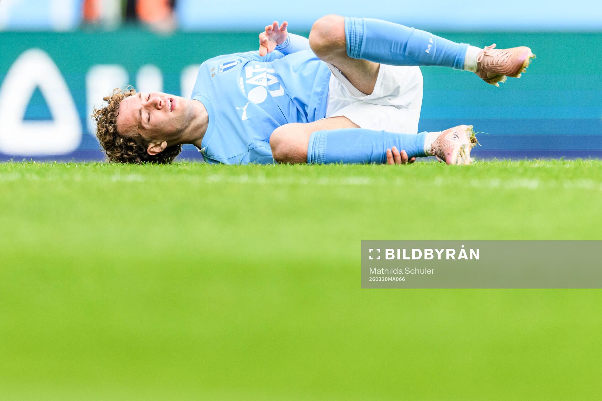 Malmö FFs Anton Höög