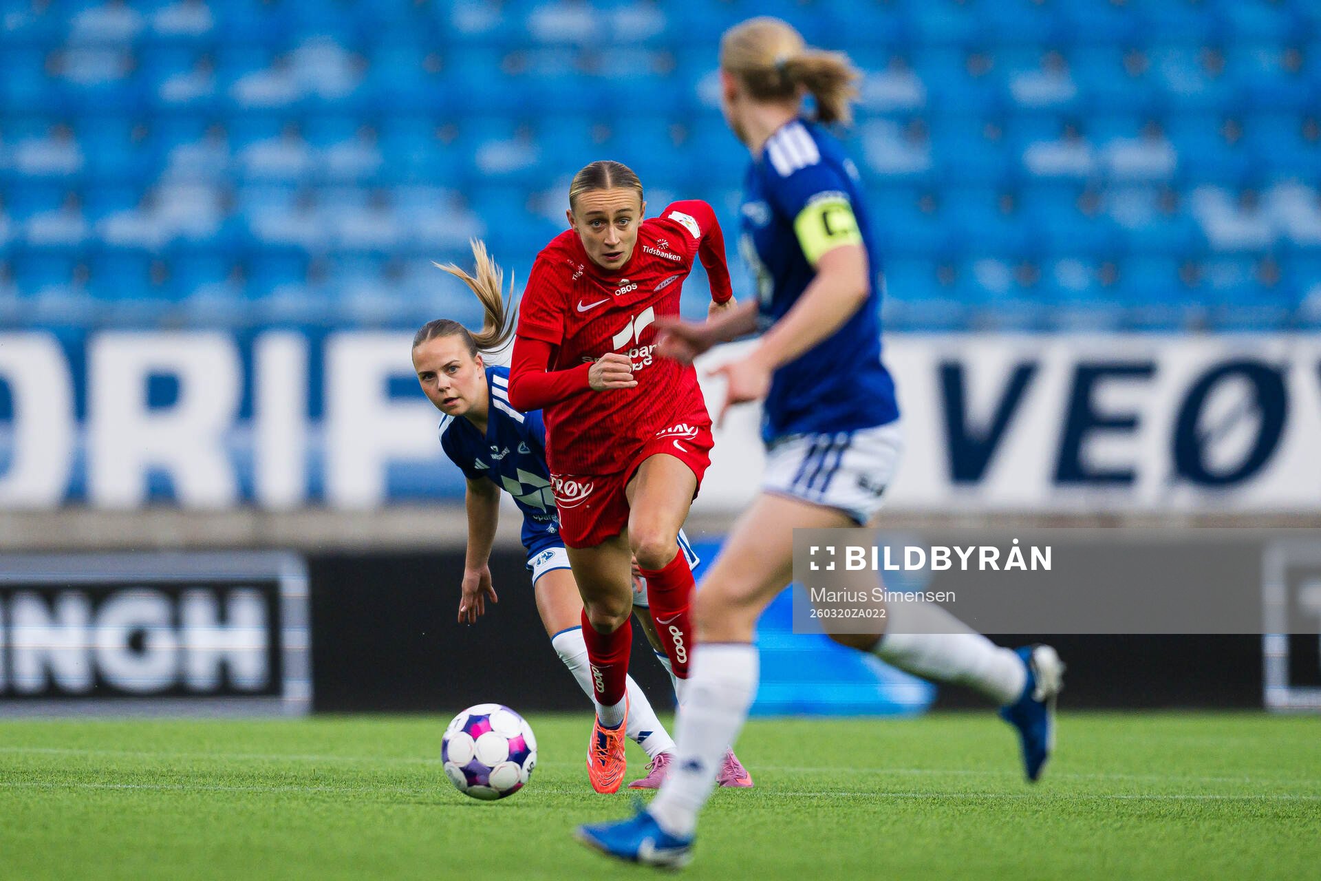Lauren Alison Davidson of Brann