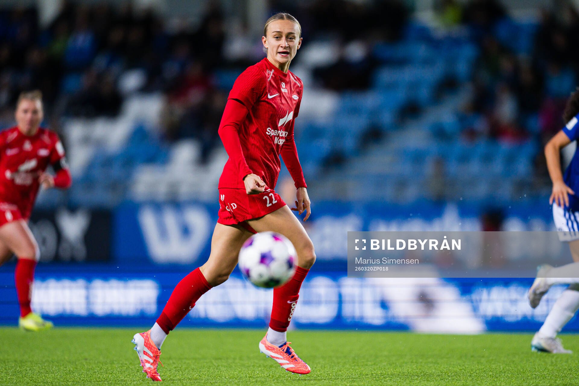 Lauren Alison Davidson of Brann