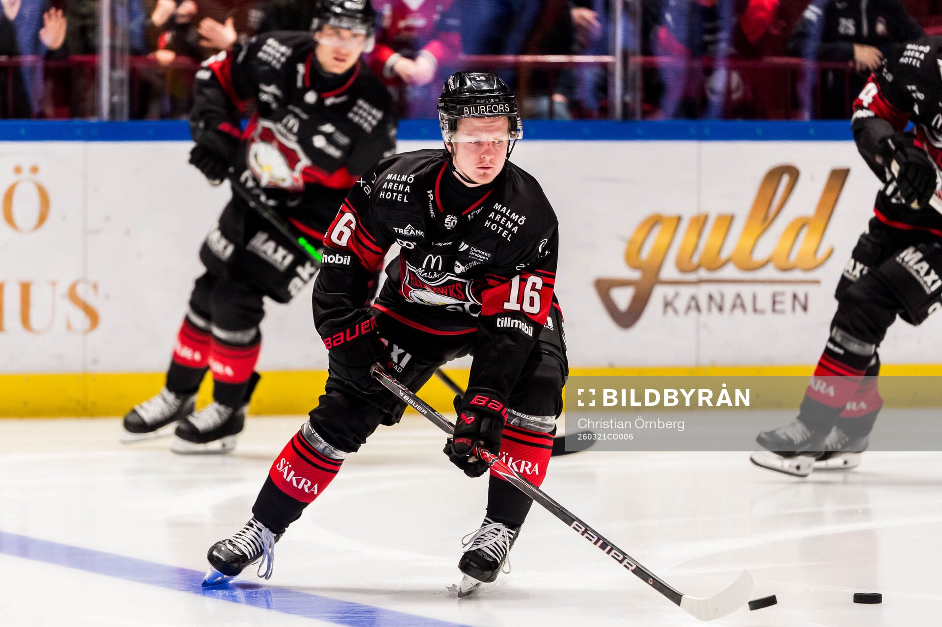 Malmö Redhawks Viktor Olofsson