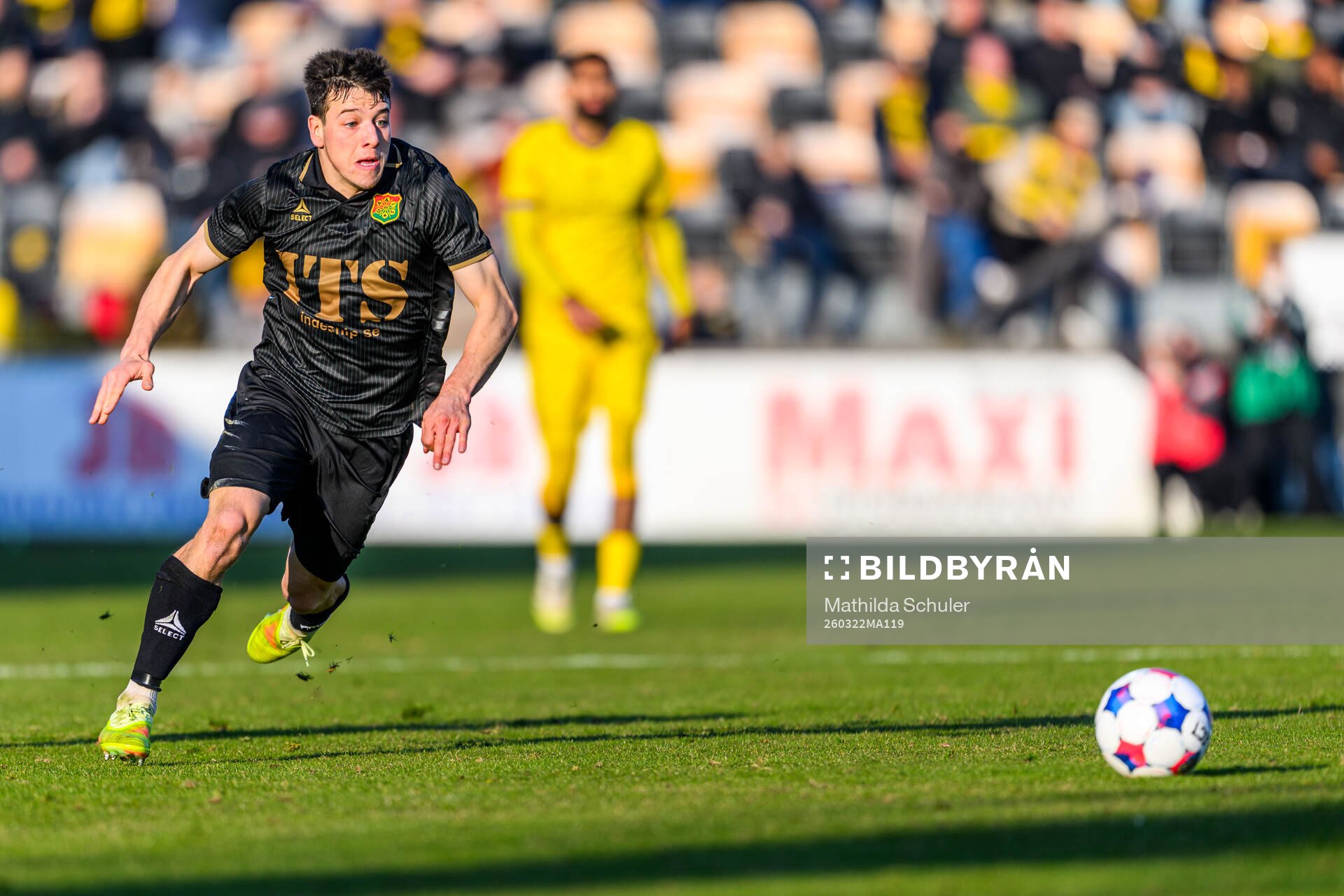 GAISs Anes Cardaklija