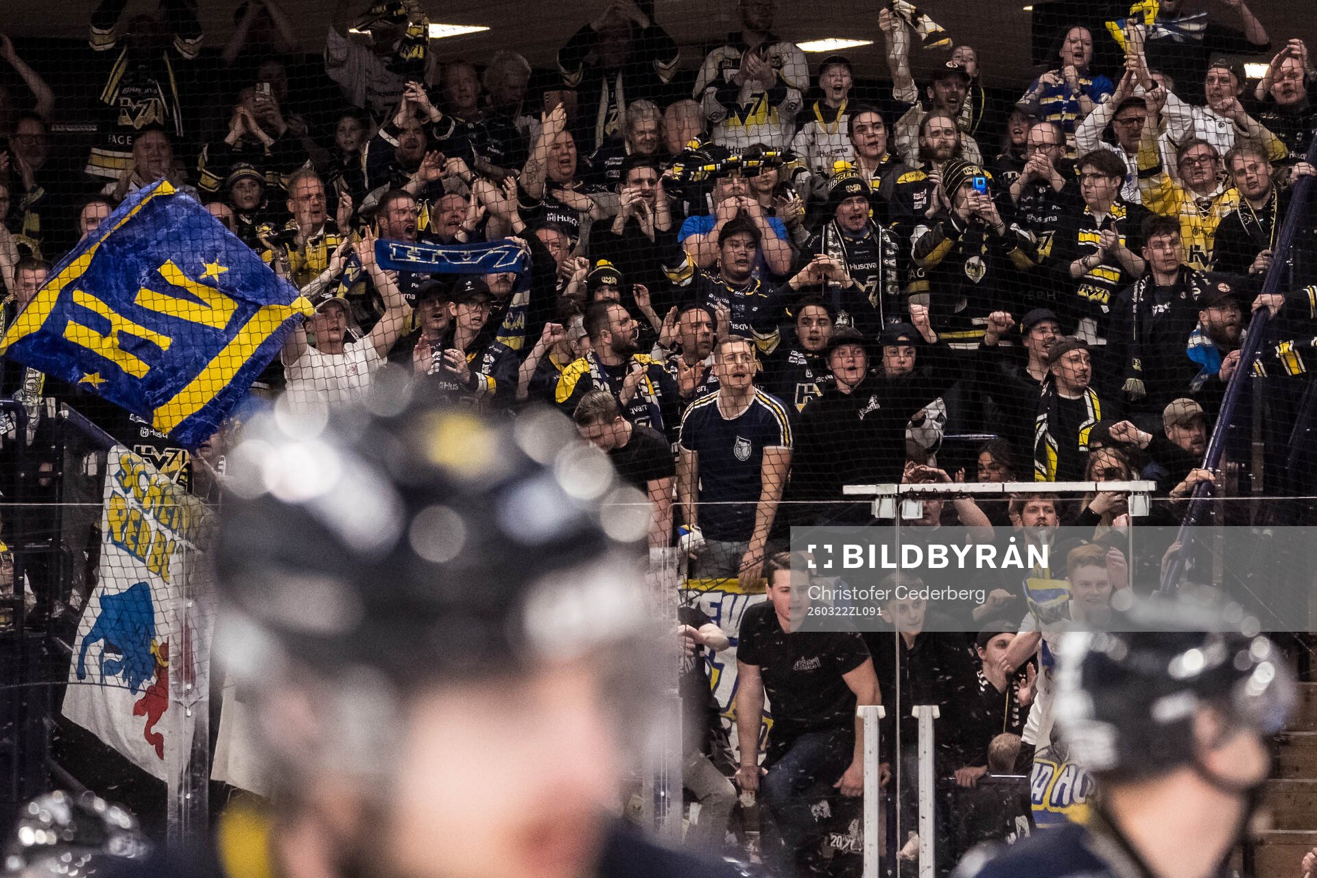 HV71s supportrar jublar