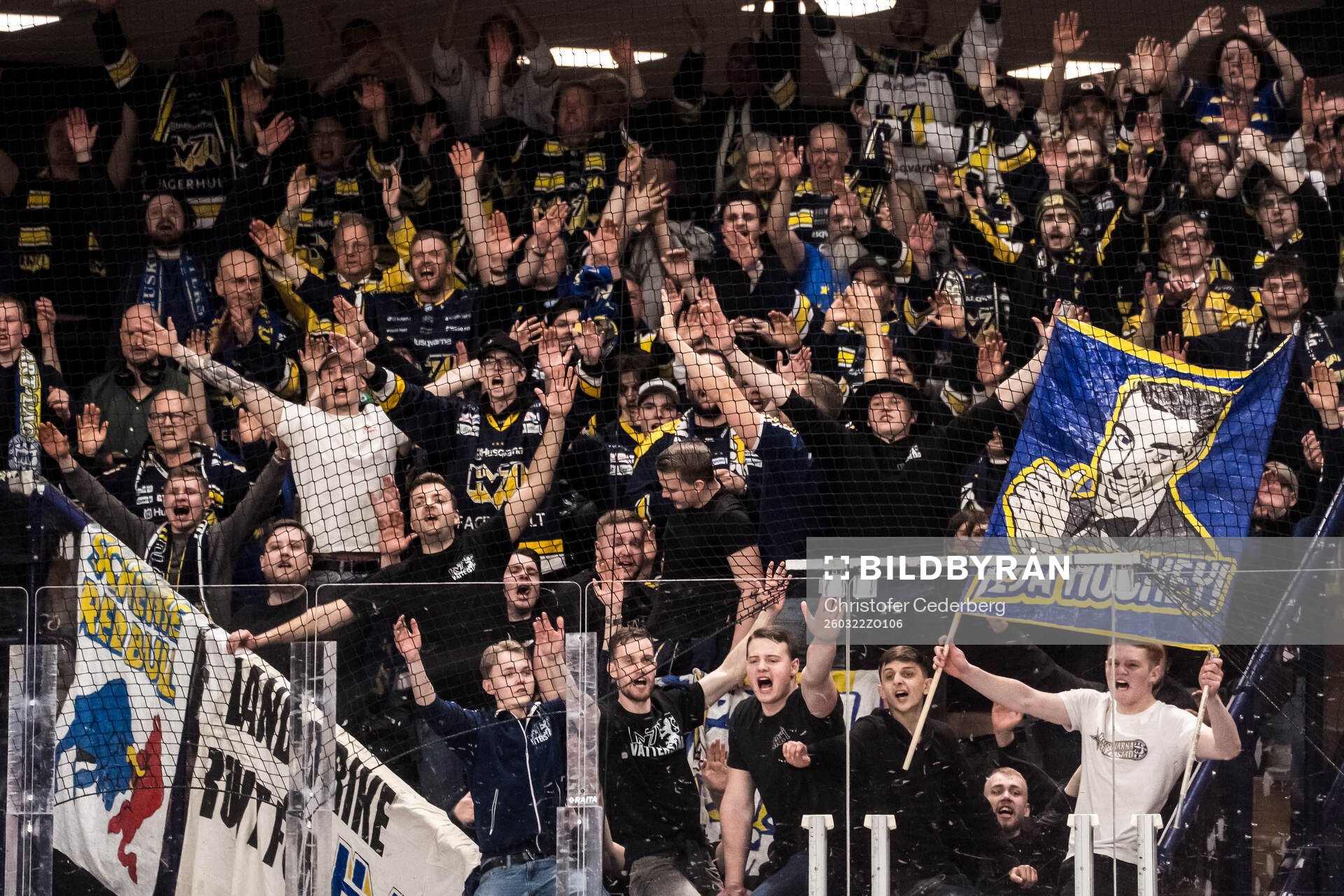 HV71s supportrar jublar