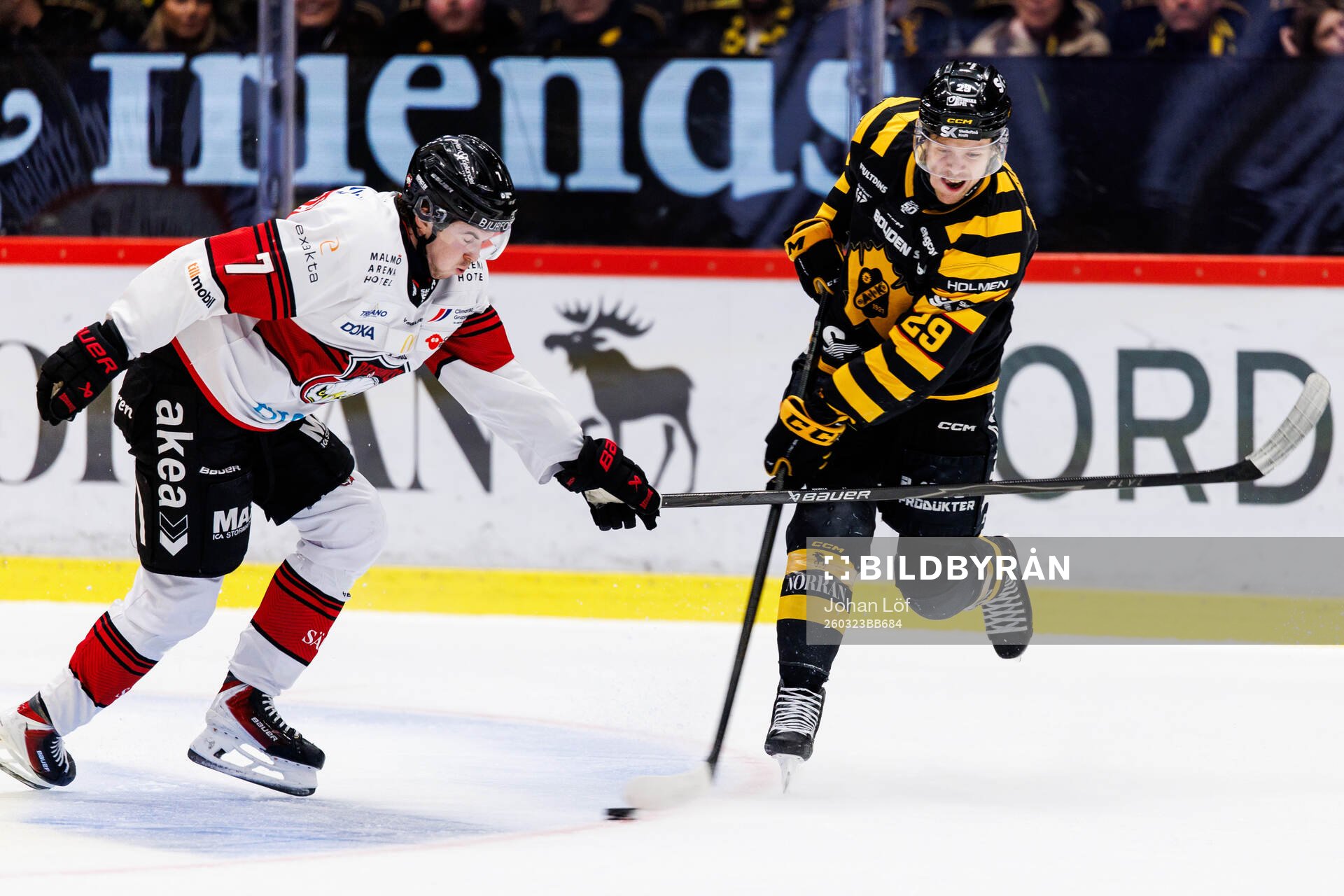 Malmö Redhawks Topi Niemelä och Skellefteås Mikkel