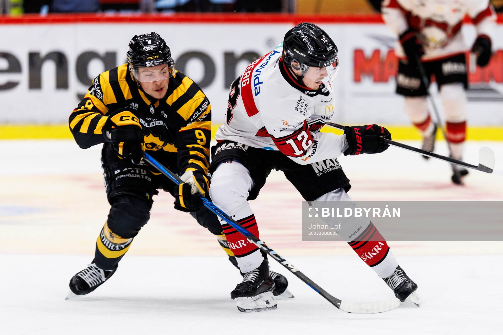 Skellefteås Victor Stjernborg och Malmö Redhawks Linus