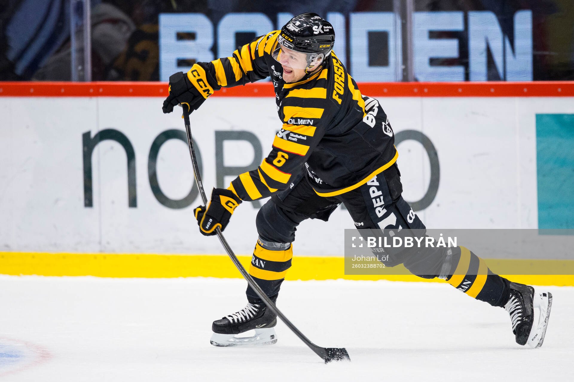 Skellefteås Måns Forsfjäll