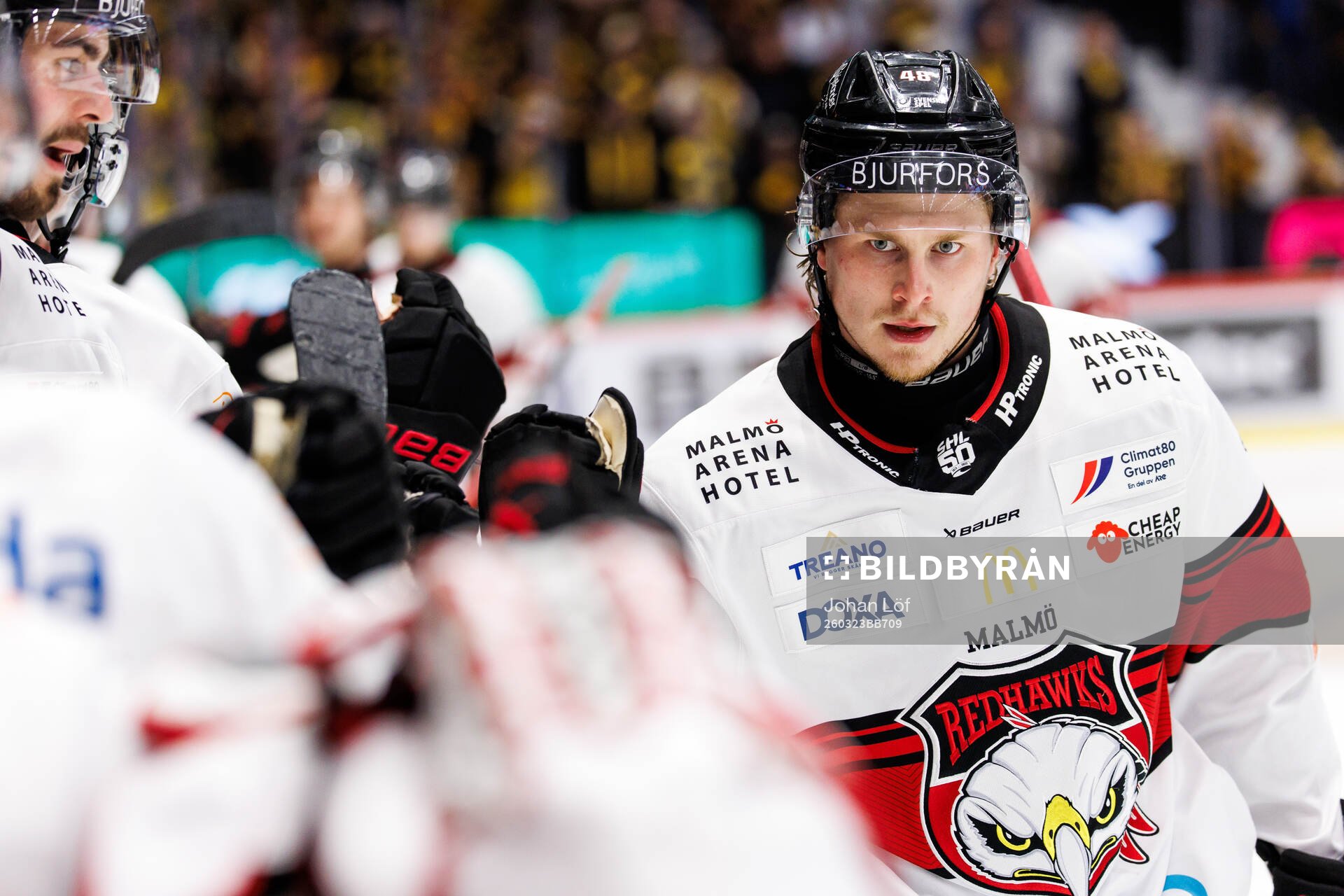 Malmö Redhawks Lauri Pajuniemi jublar