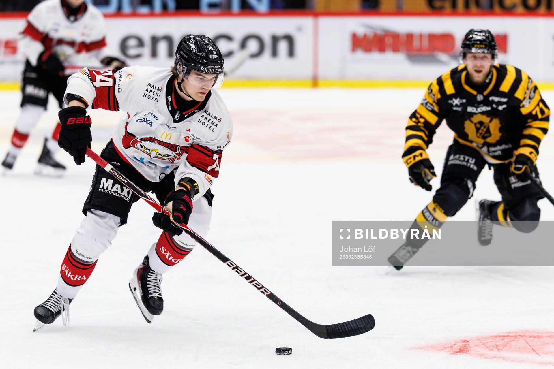 Malmö Redhawks Felix Carell