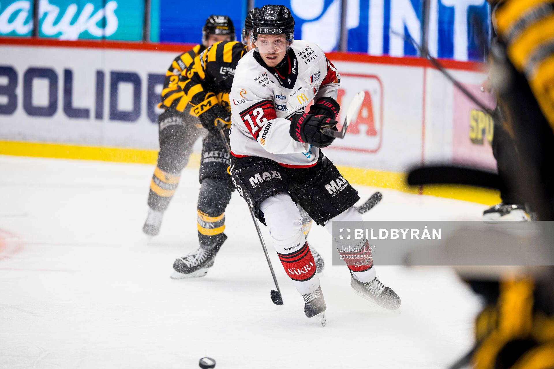 Malmö Redhawks Linus Öberg
