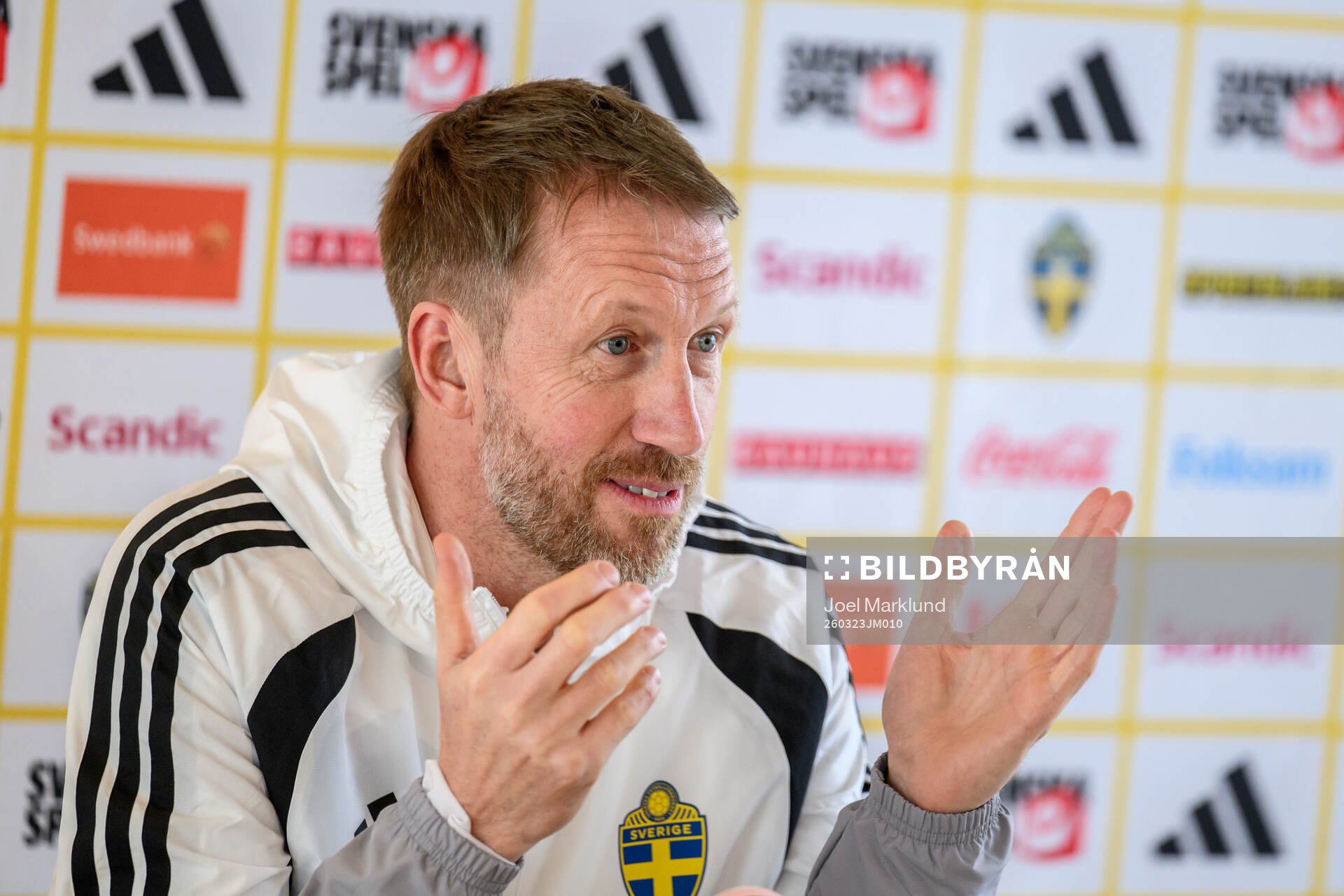 of the Swedish national football team