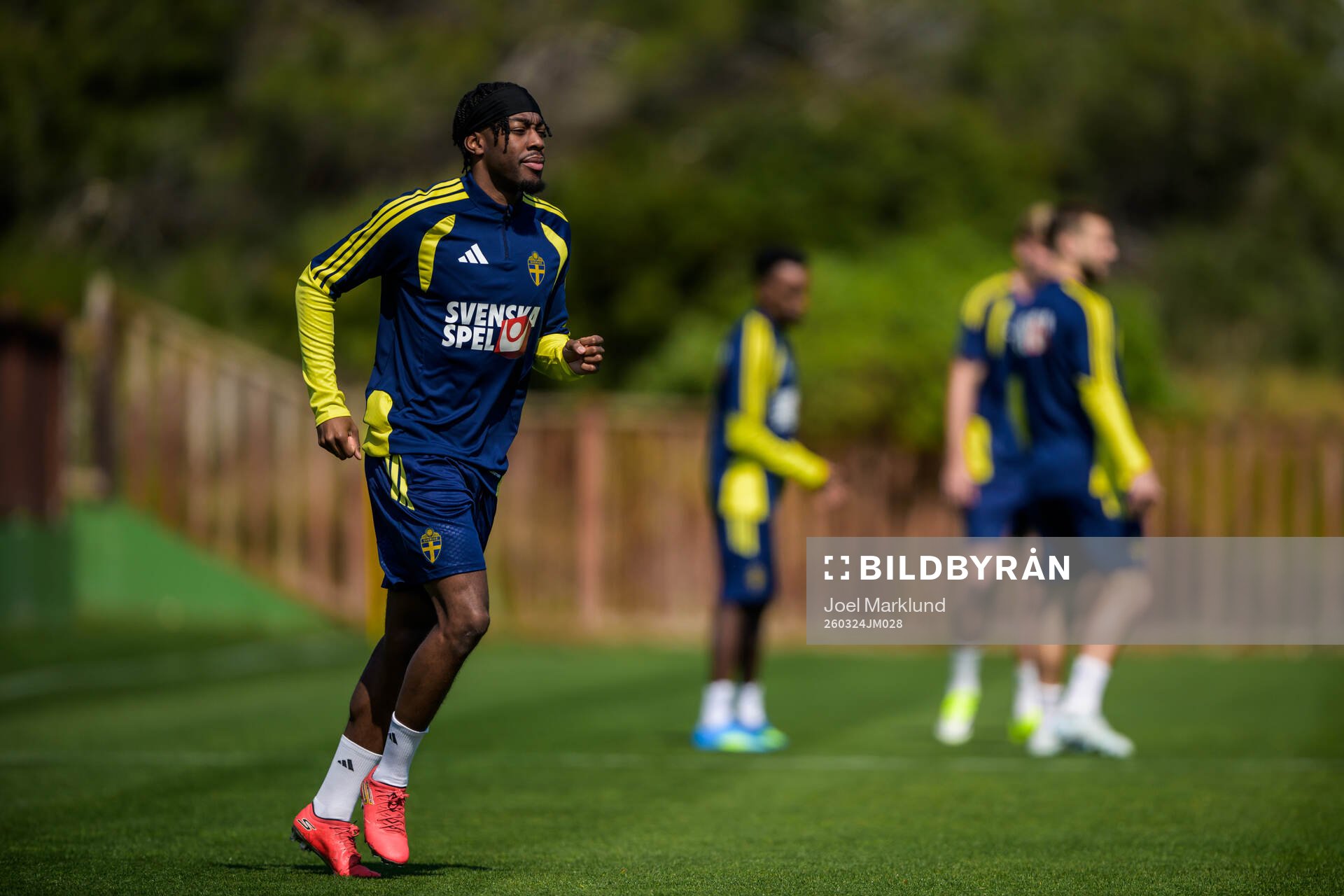 Anthony Elanga of the Swedish national football team