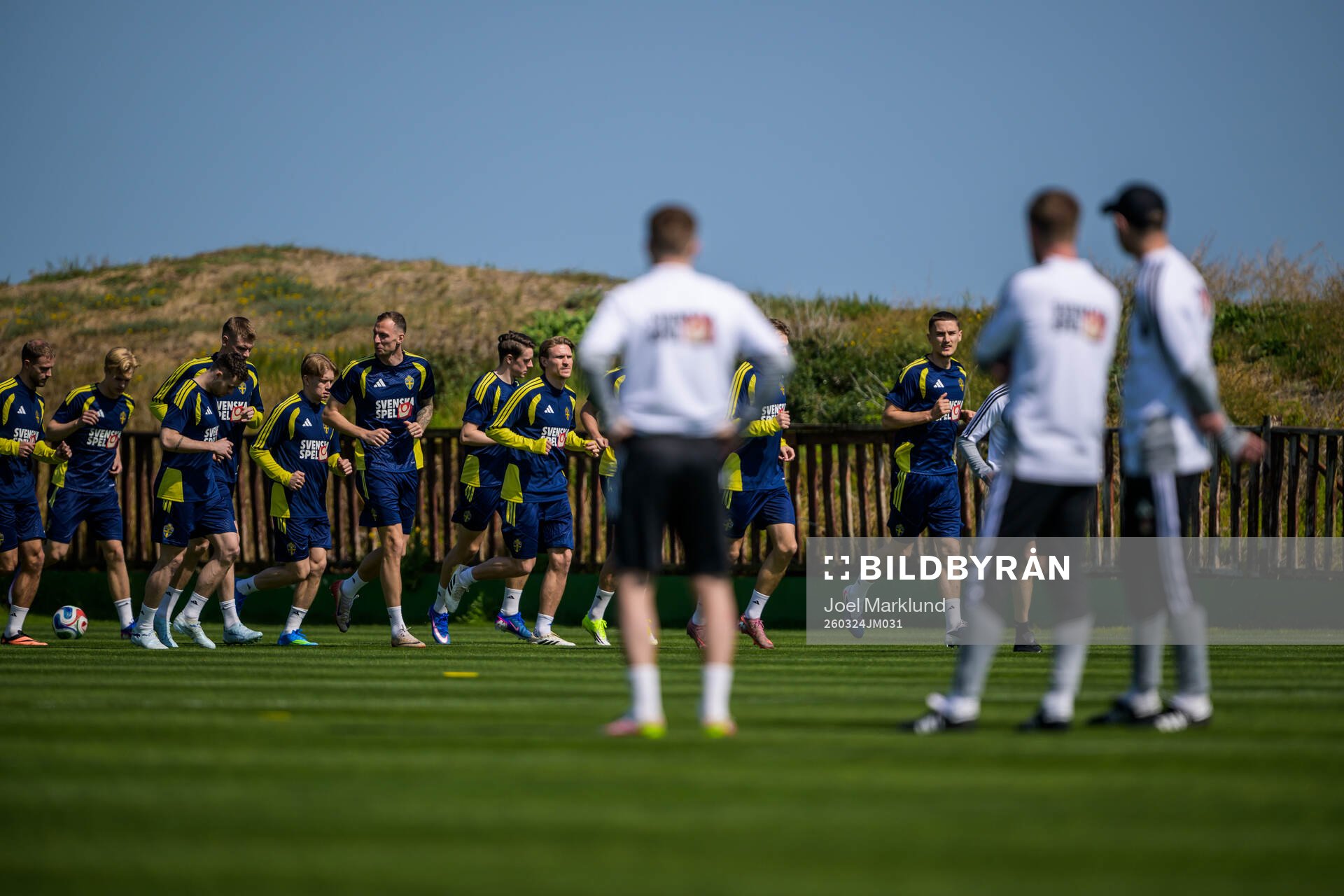 Players of the Swedish national football team