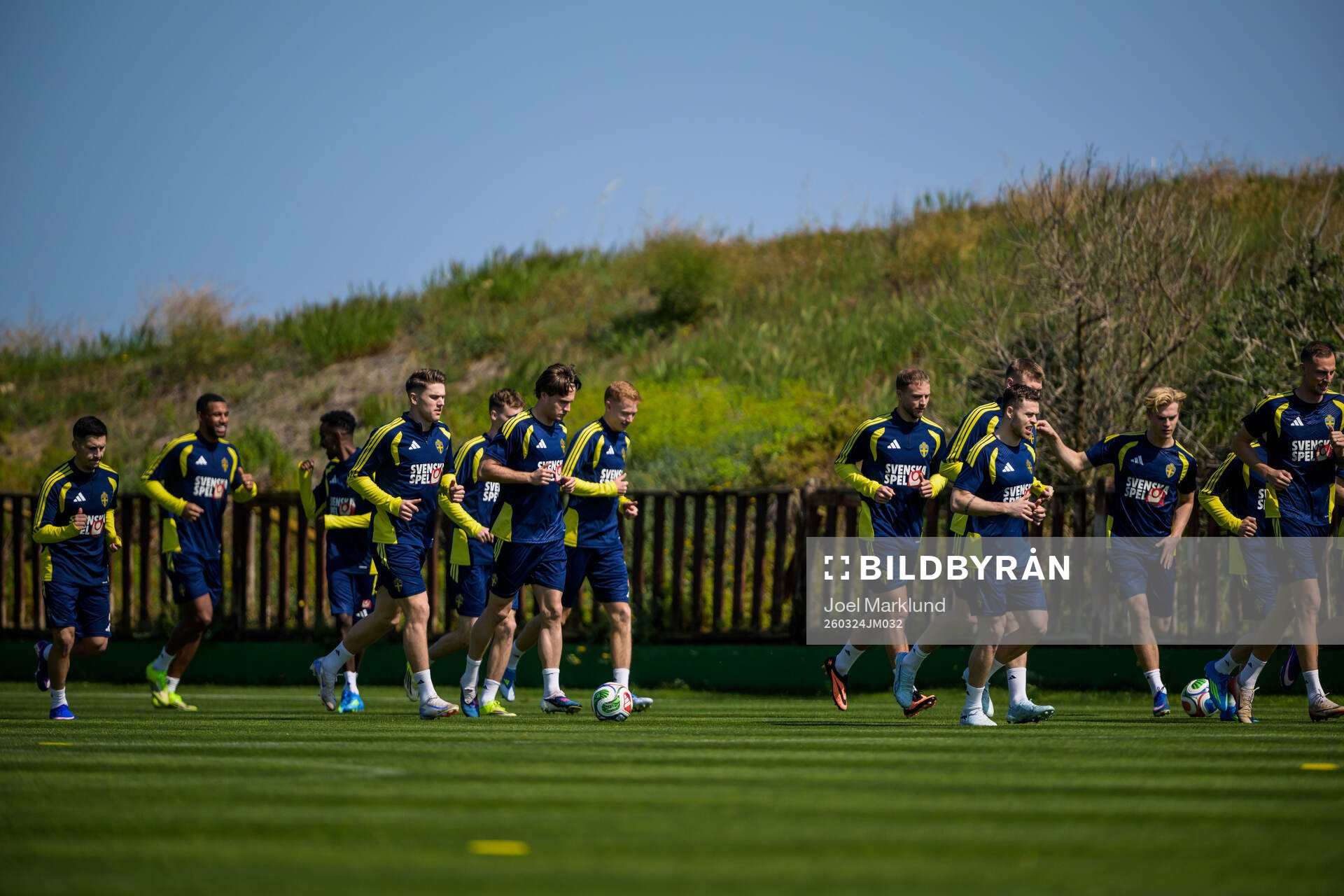 Players of the Swedish national football team