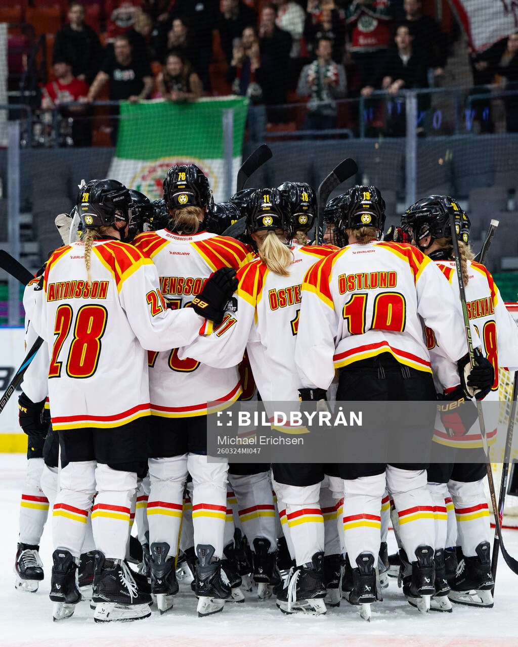 Brynäs spelare jublar