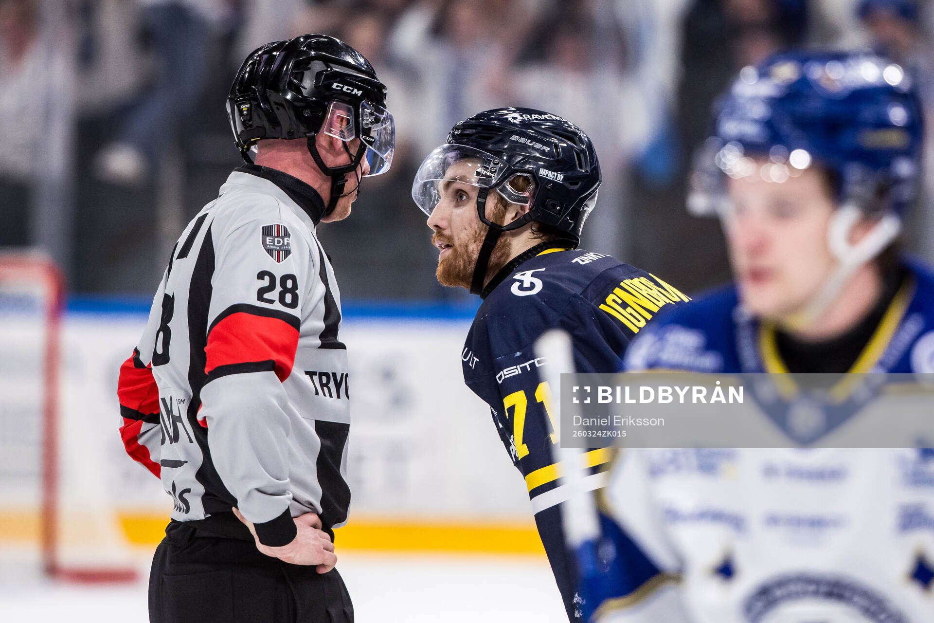 HV71s William Ignberg Nilsson