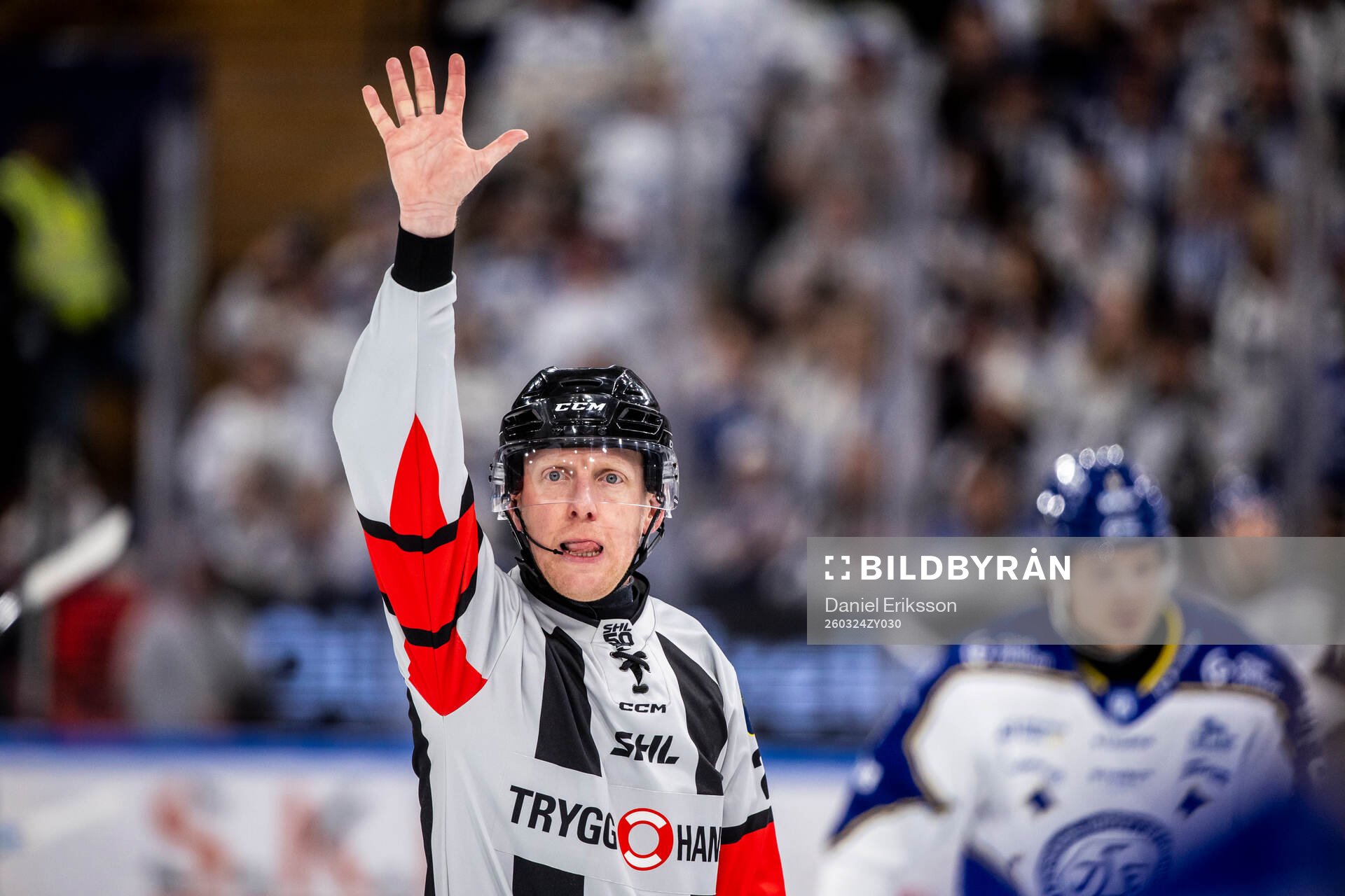 Domare Tobias Björk