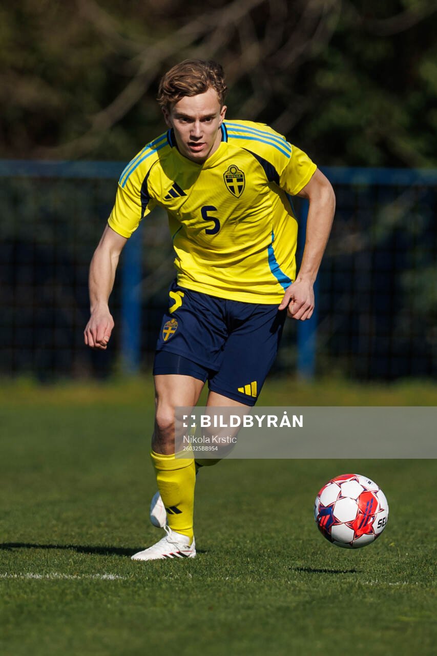 Viggo Fälth of Sweden