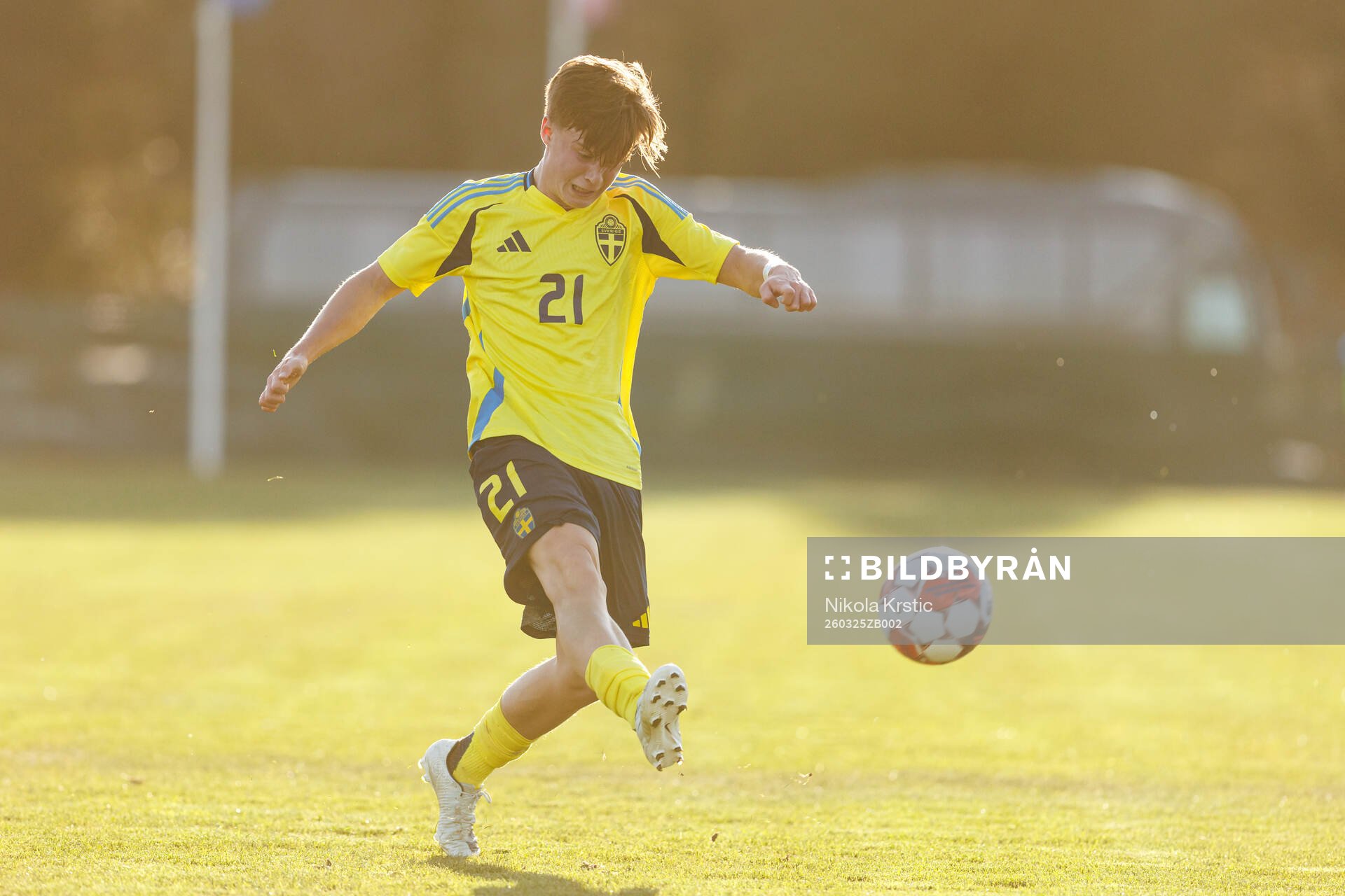 Alexander Andersson  of Sweden