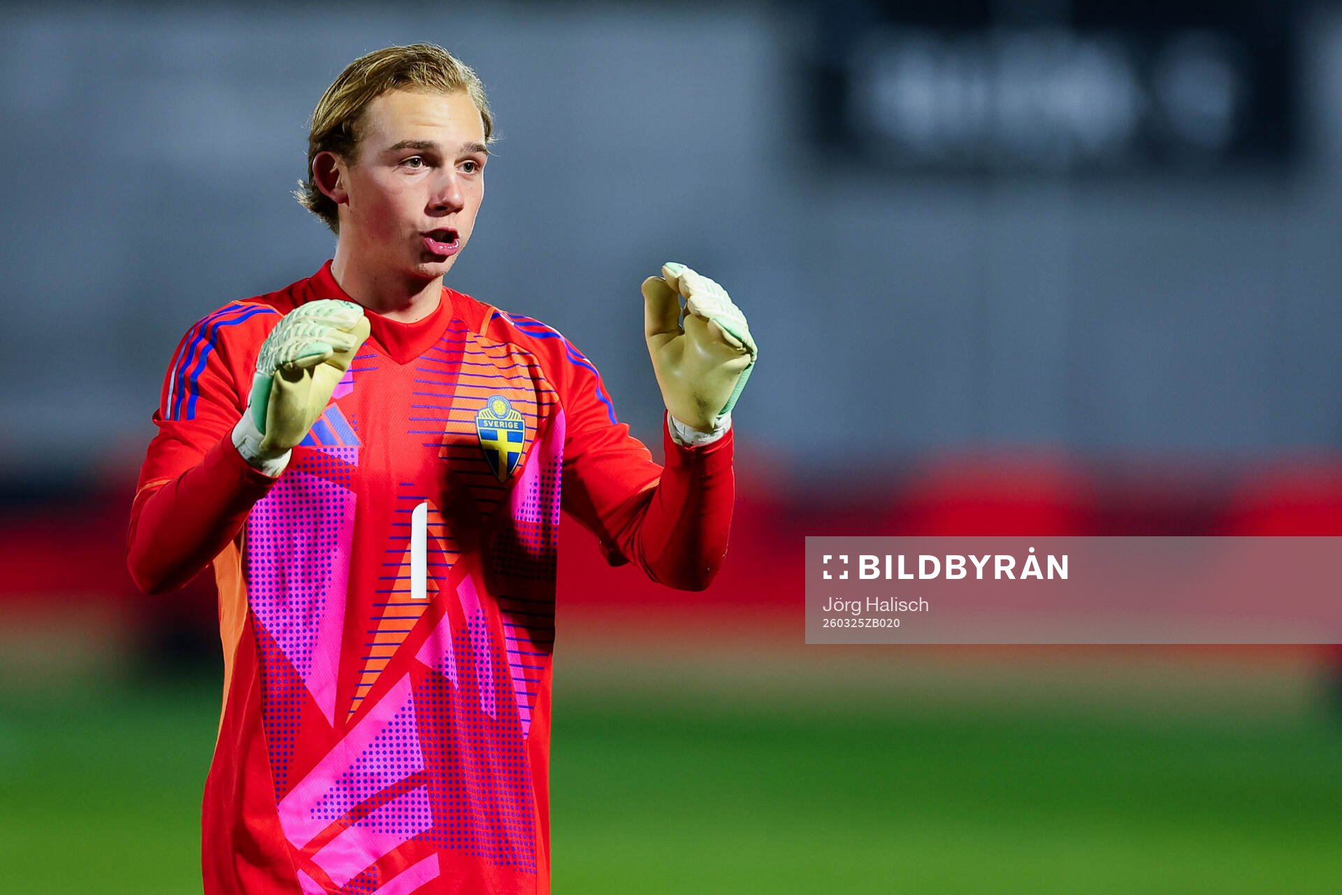 Goalkeeper Elton Fischerström of Sweden