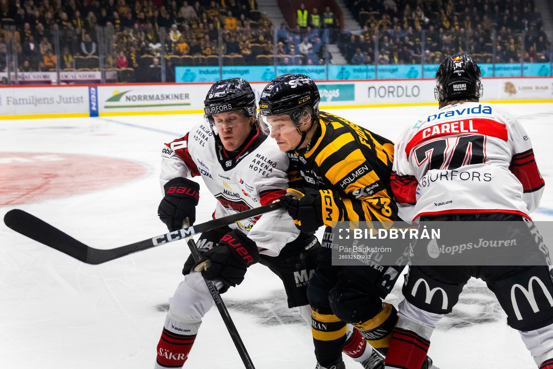 Malmös Filip Björkman och Felix Carell och Skellefteås