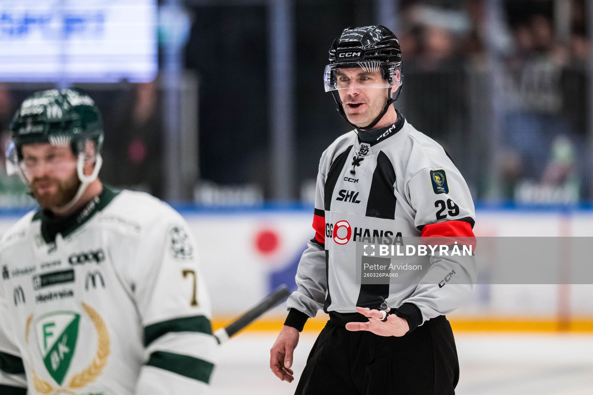 Domare Richard Magnusson