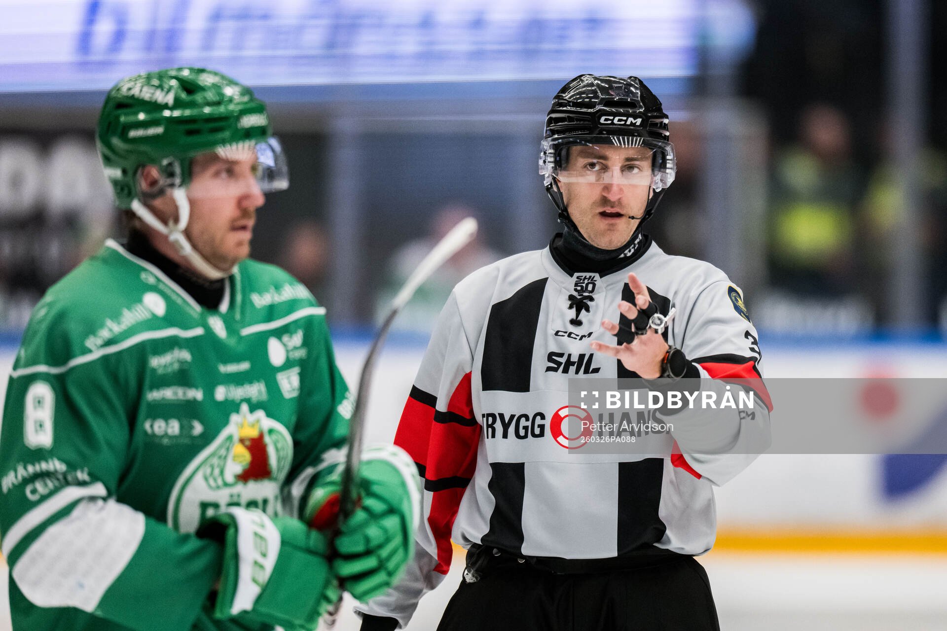 Domare Richard Magnusson