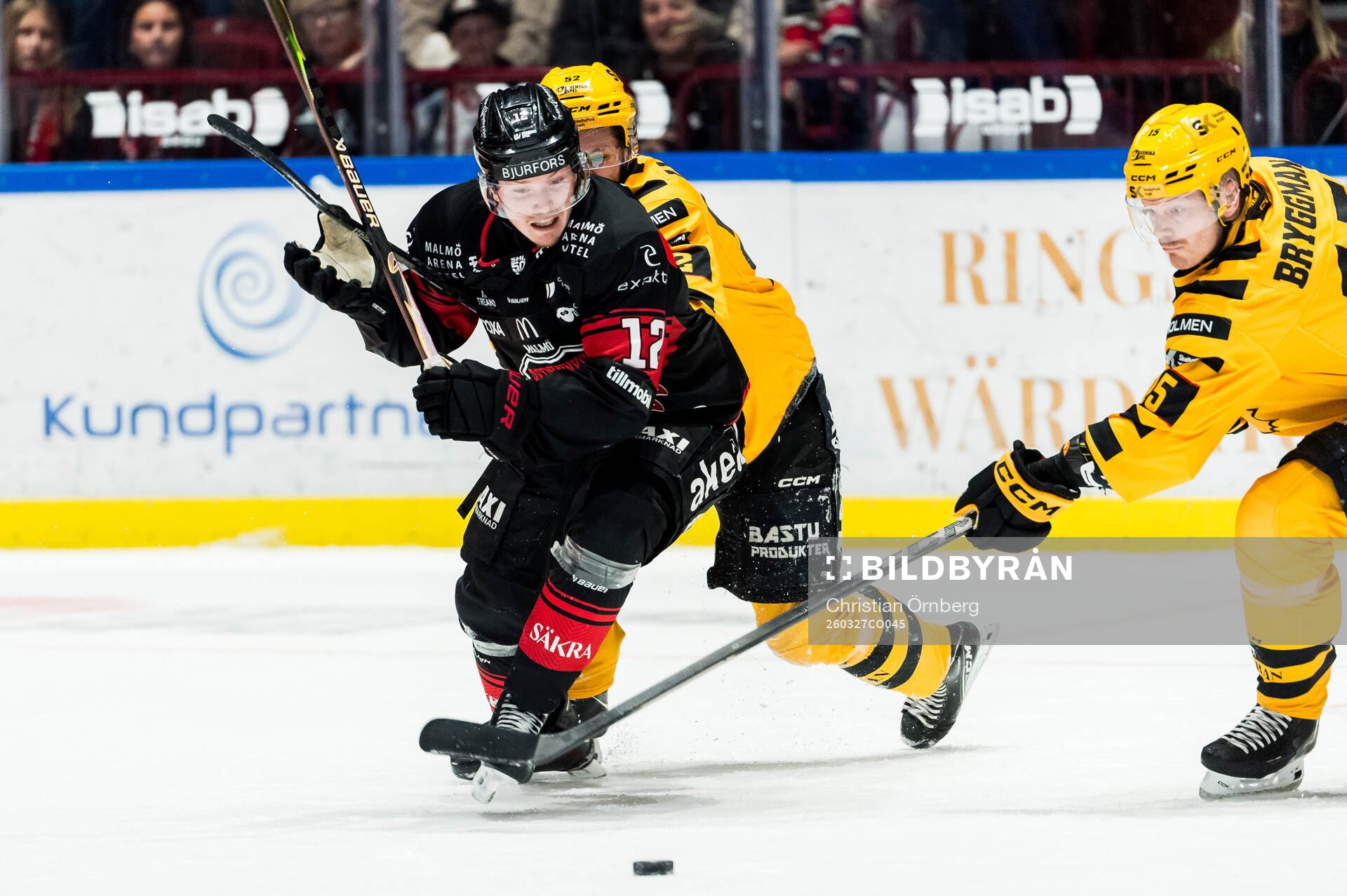 Malmö Redhawks Linus Öberg, Skellefteås Arvid Lundberg