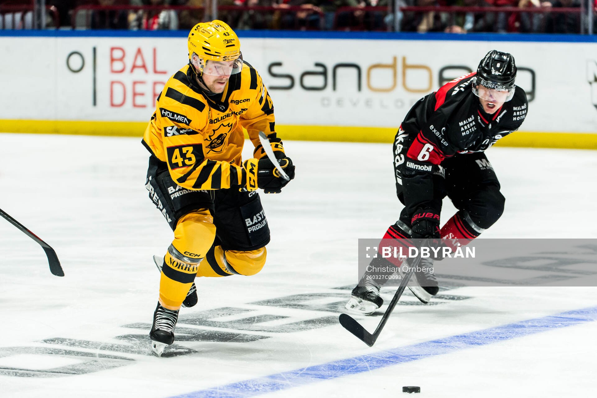 Skellefteås Max Krogdahl och Malmö Redhawks Eemil Viro