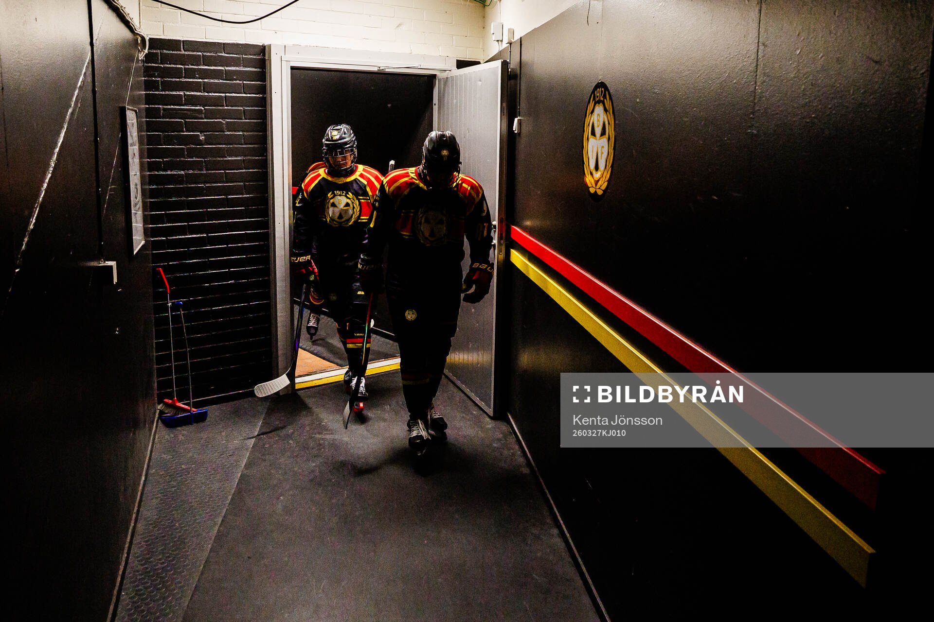 Brynäs spelare
