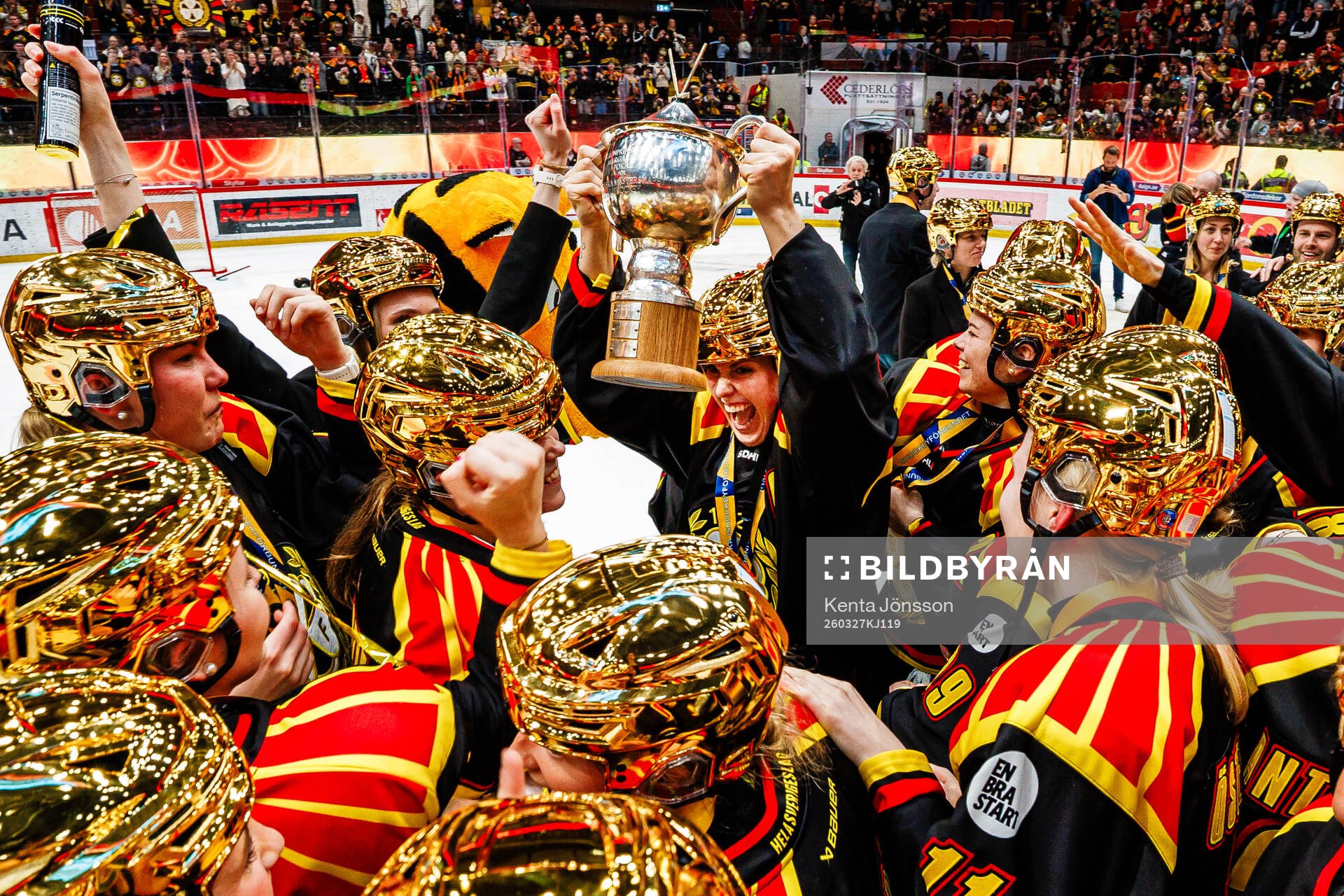 Brynäs spelare jublar