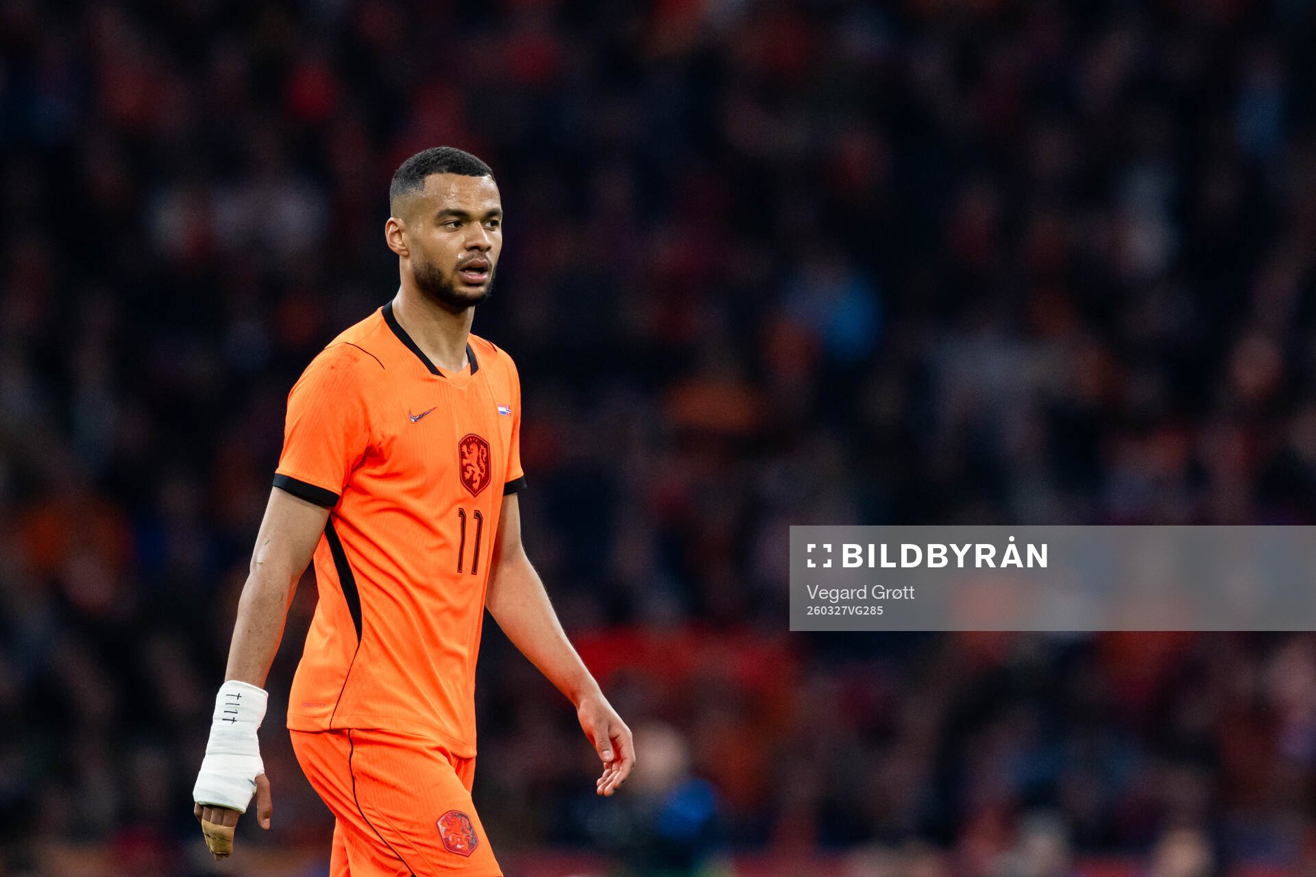 Cody Gakpo of Netherlands