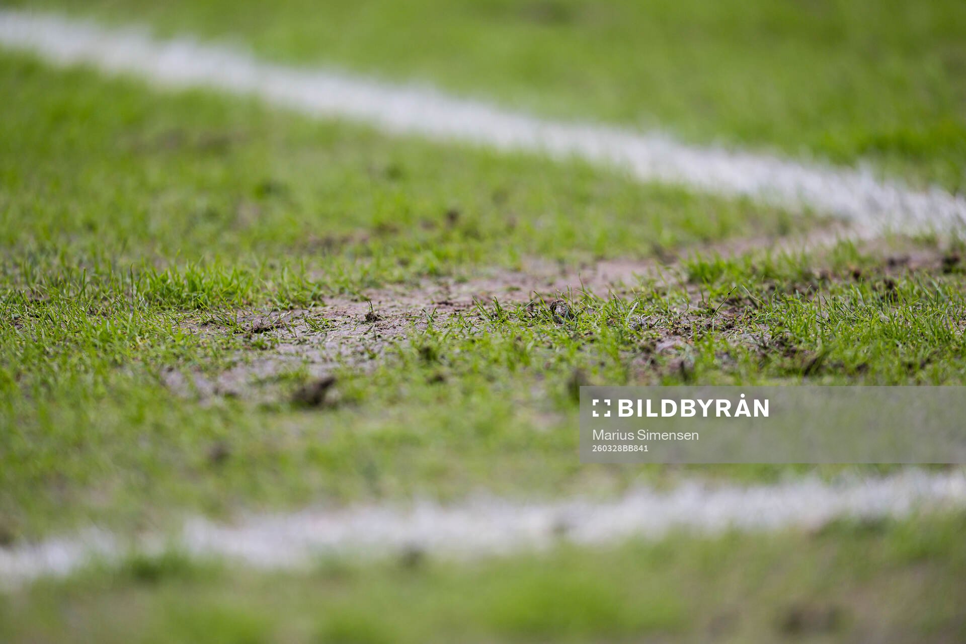 Quality of the grass at Brann Stadion