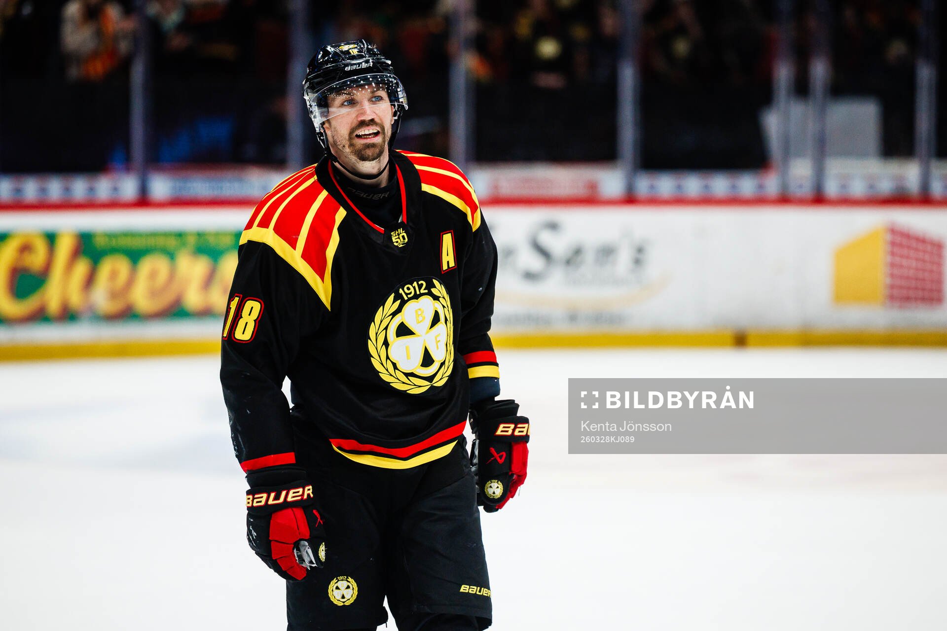 Brynäs Anton Rödin