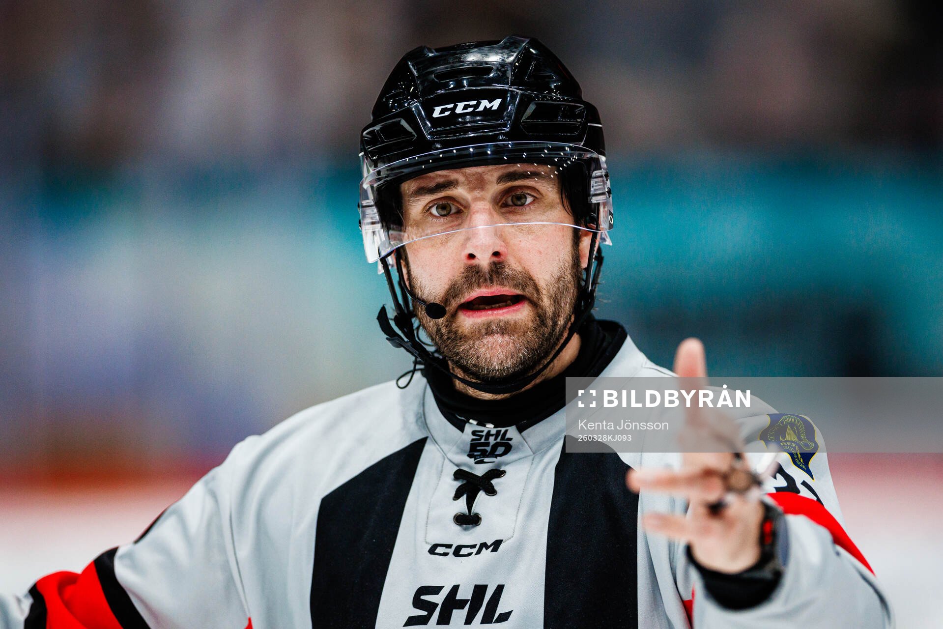 Domare Mikael Sjöqvist