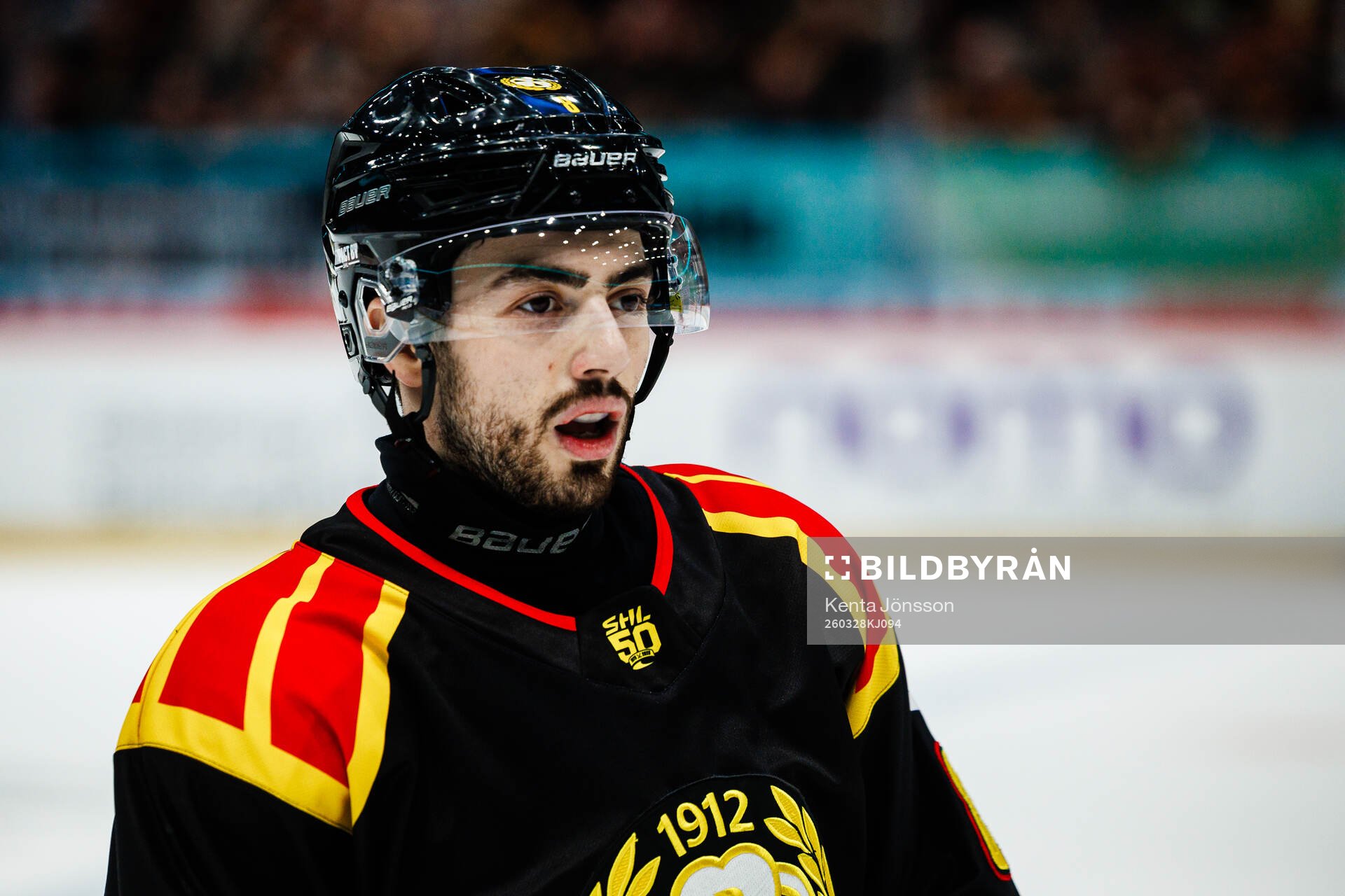Brynäs Bobby Trivigno