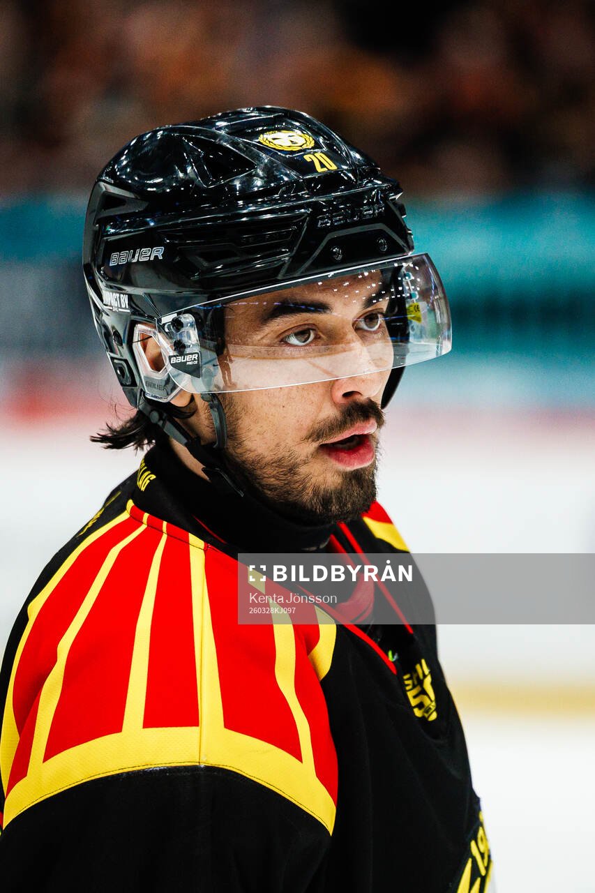 Brynäs Tyler Vesel