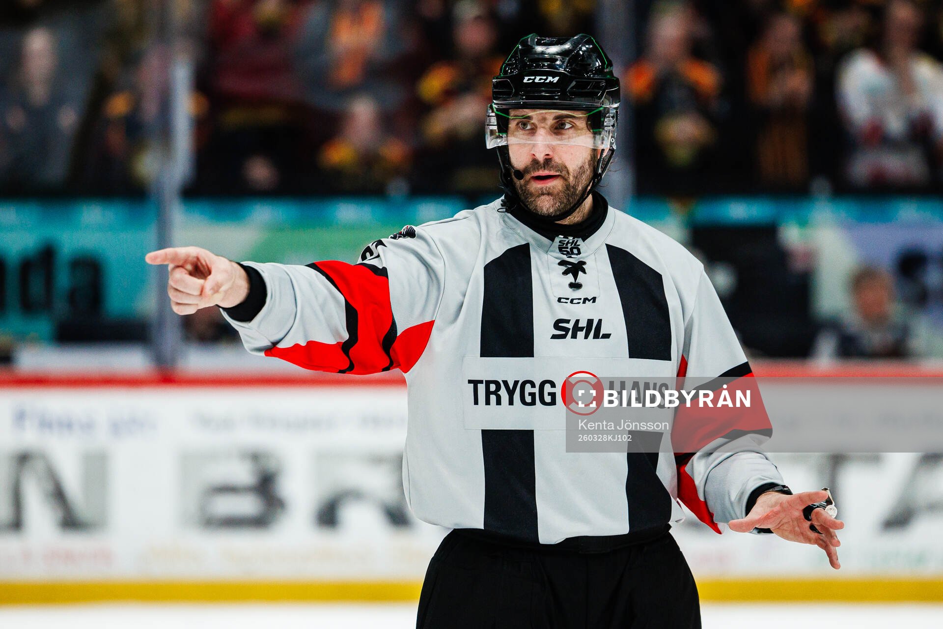 Domare Mikael Sjöqvist