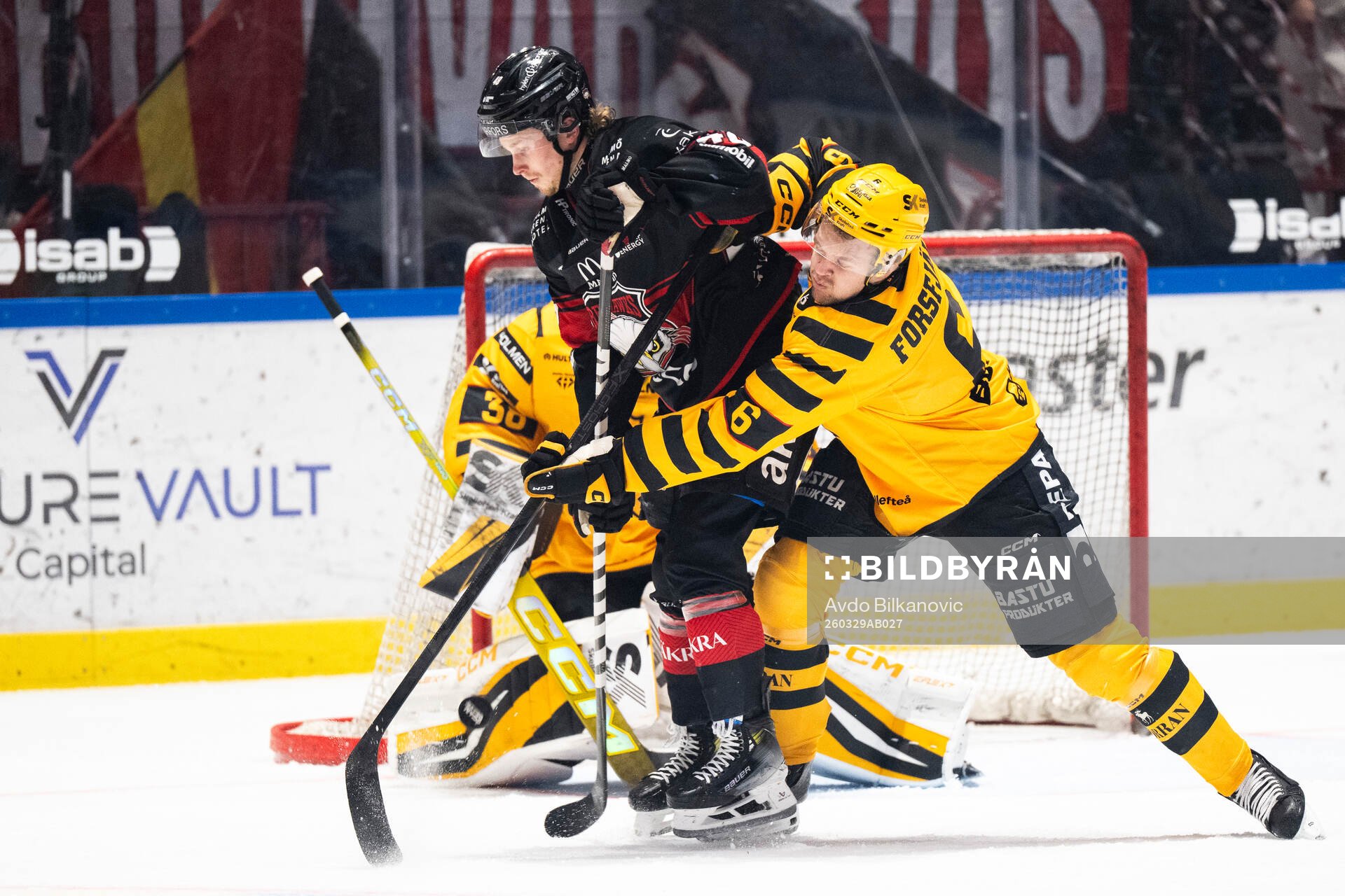 Malmö Redhawks Lauri Pajuniemi och Skellefteås Måns
