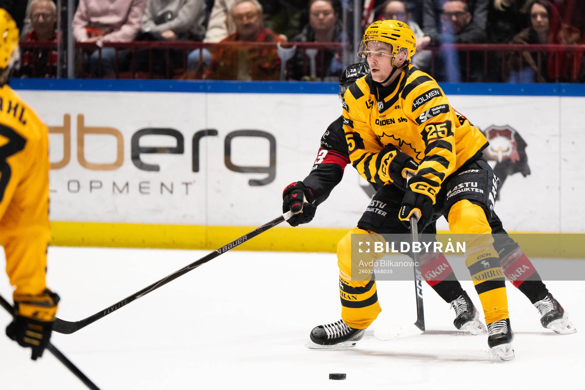 Skellefteås Pontus Johansson