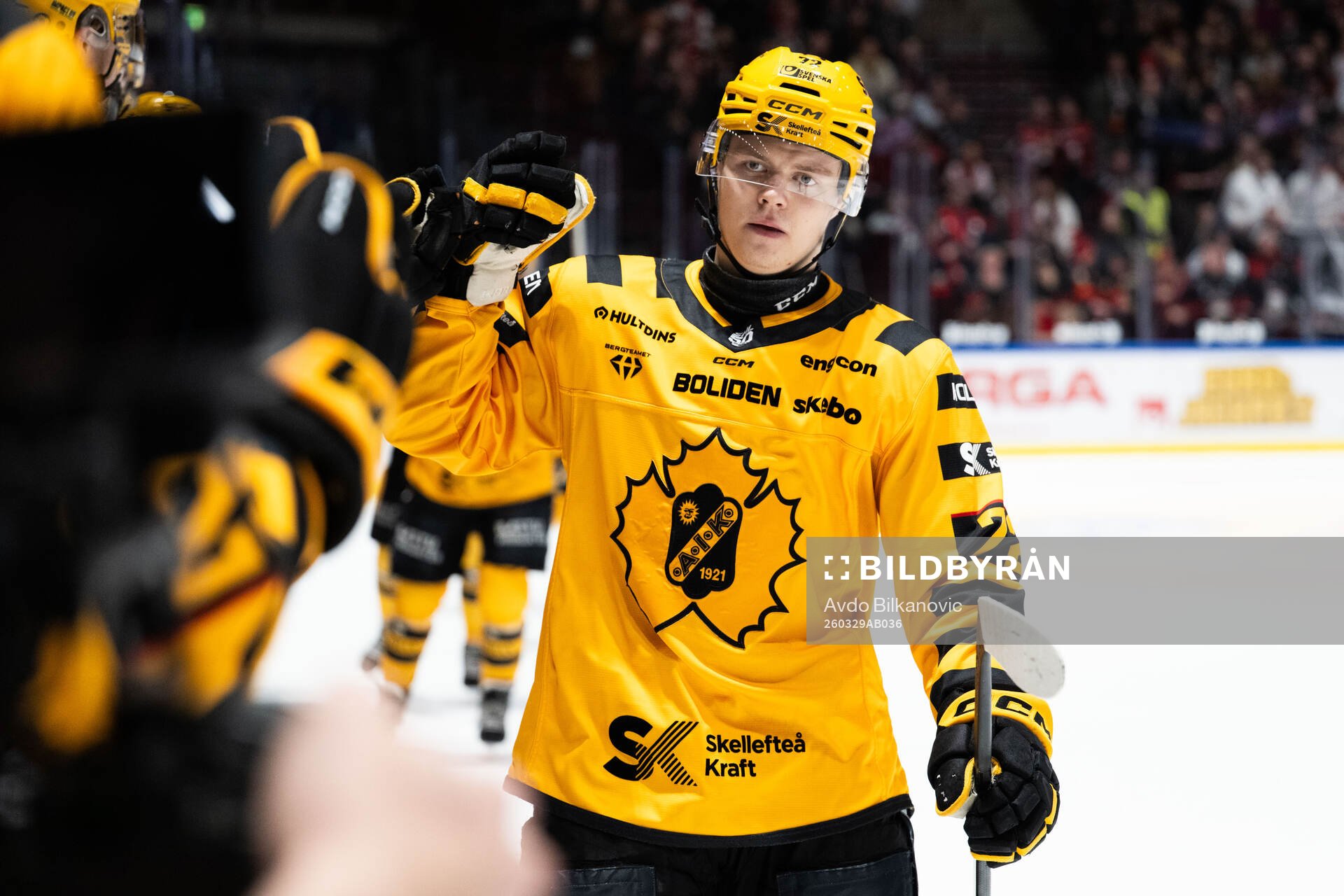 Skellefteås Oskar Vuollet jublar