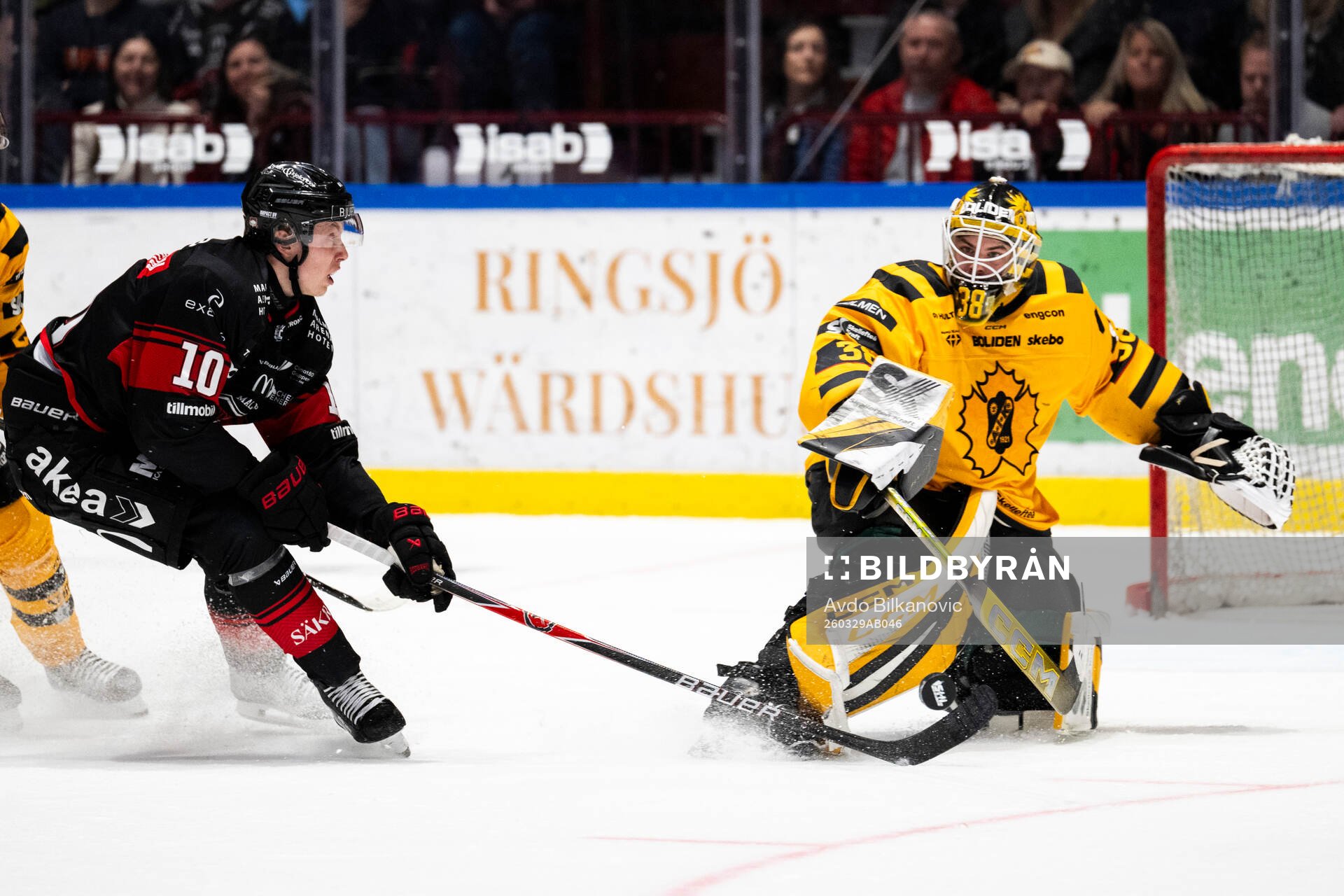 Malmö Redhawks William Von Barnekow och Skellefteås